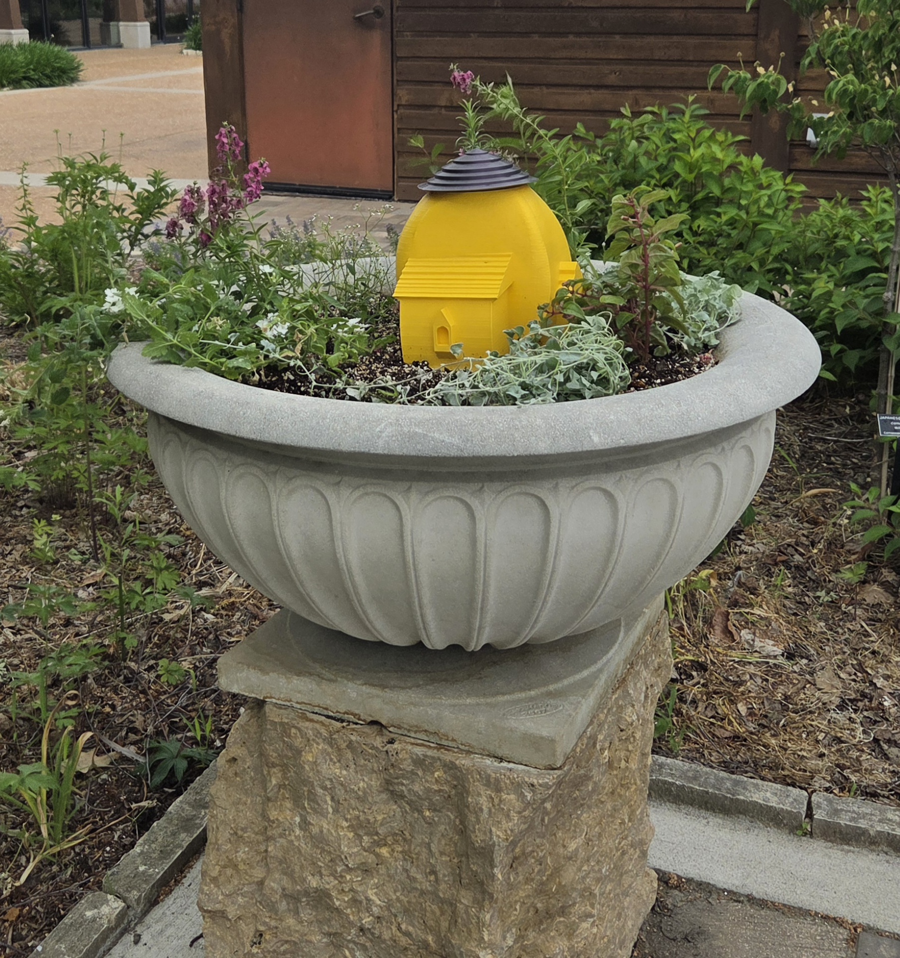 An urnlike container with a yellow bee house, Dichondra, Fuchsia, Verbena, and Euphorbia