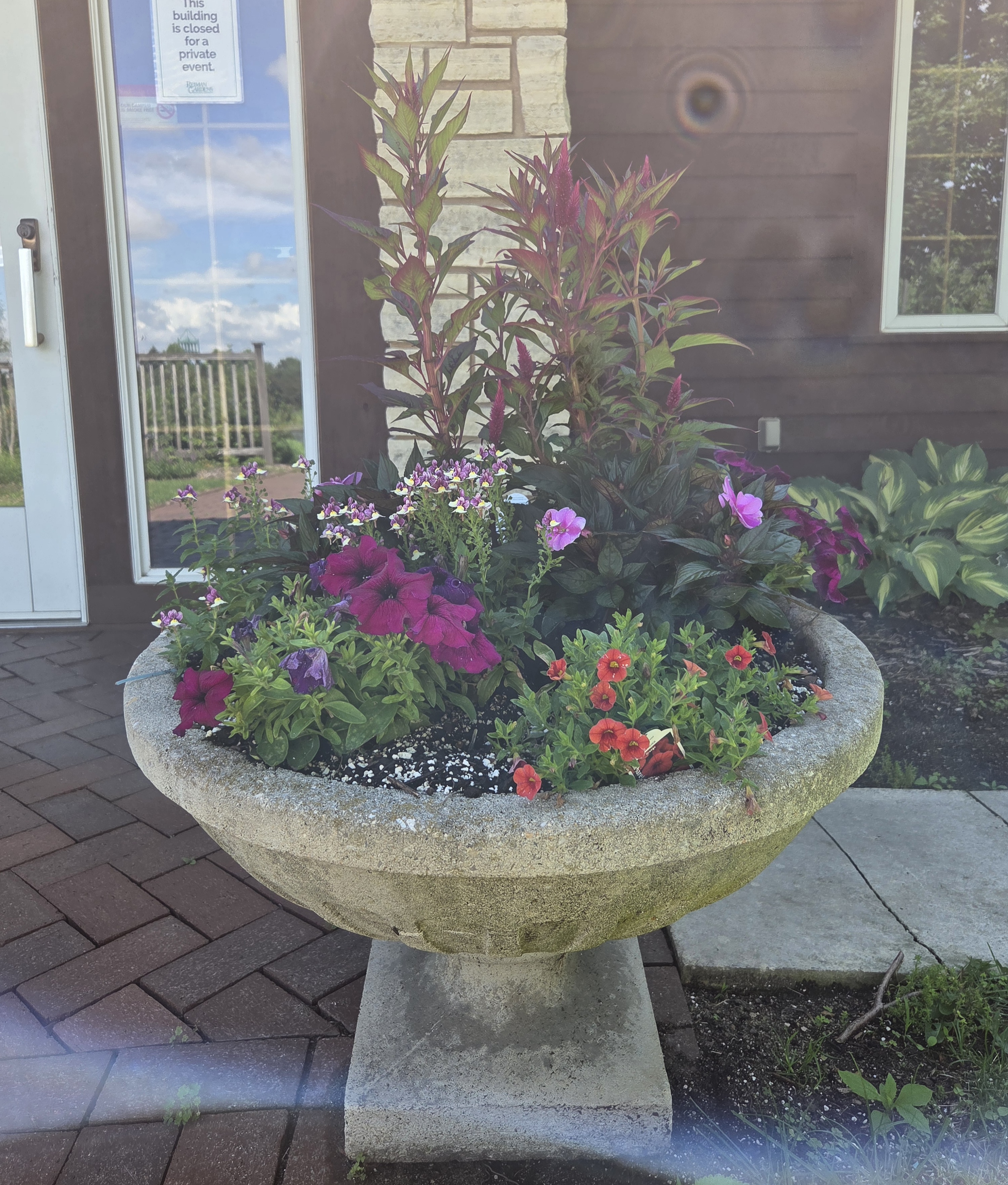 A container with Celosia, Petunia, Calibrachoa, and Impatiens