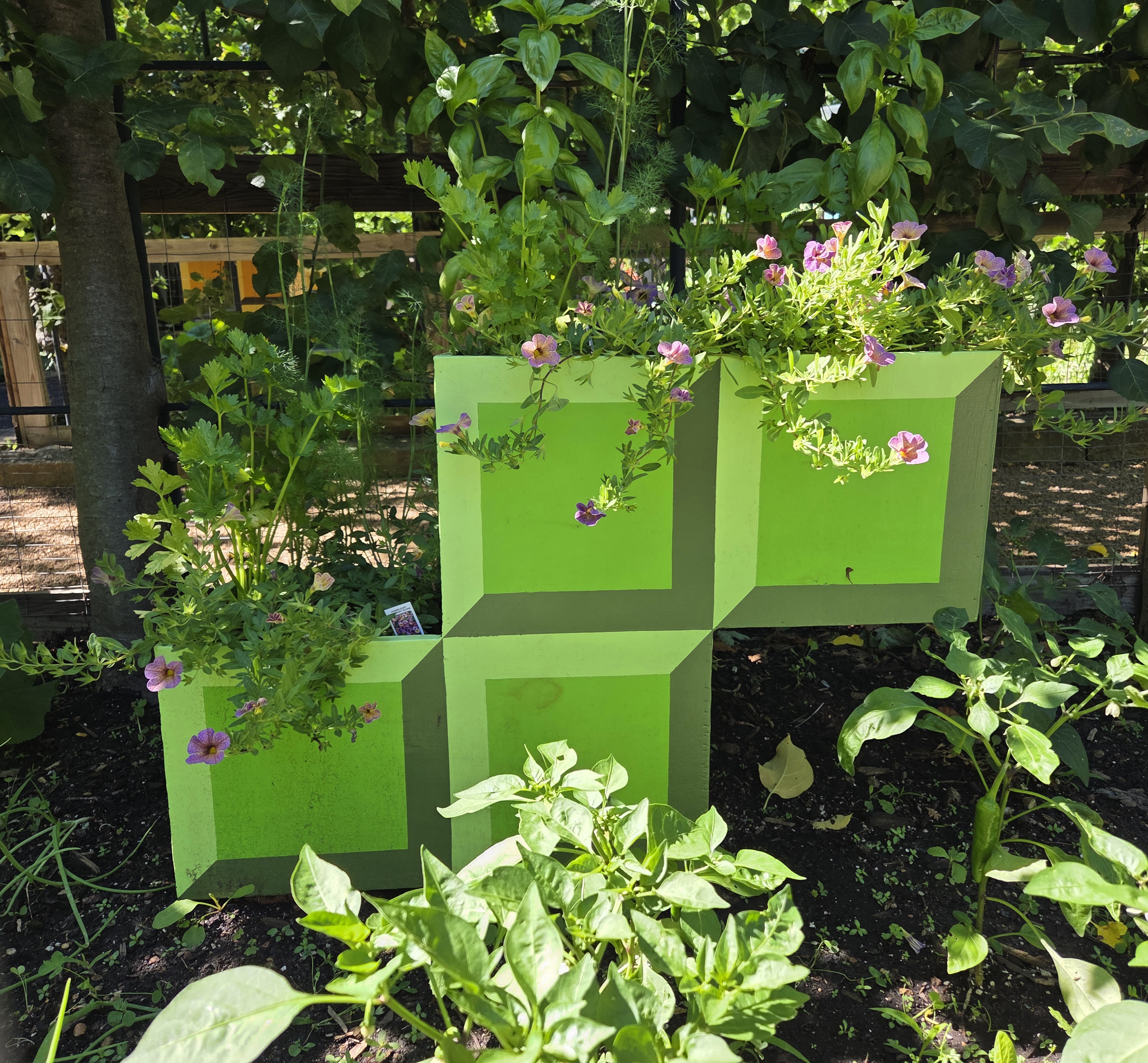 A green Z-block shaped container with Calibrachoa, Dill, Basil. and Celeriac