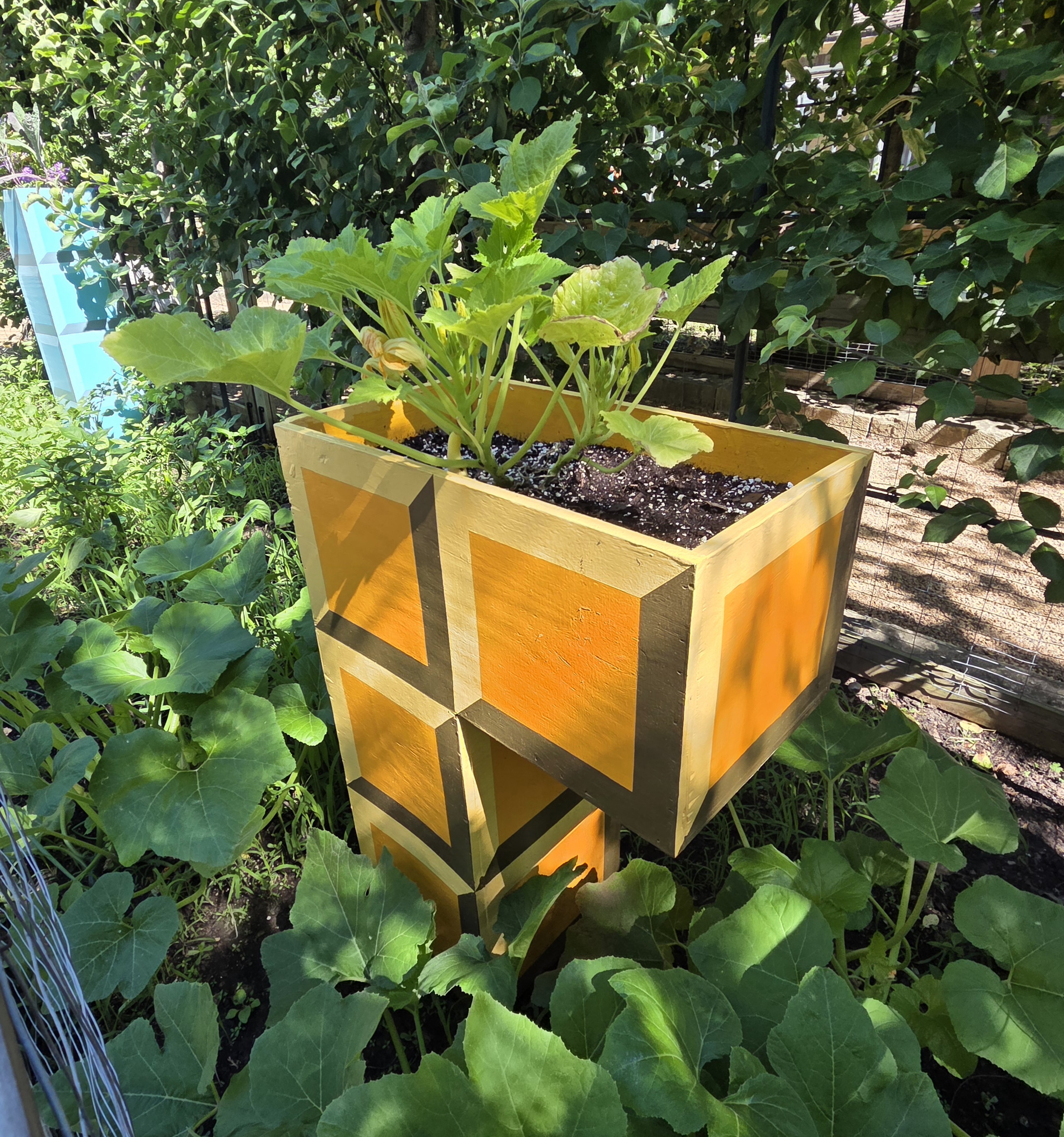 A yellow L-shaped tetris block container with a squash