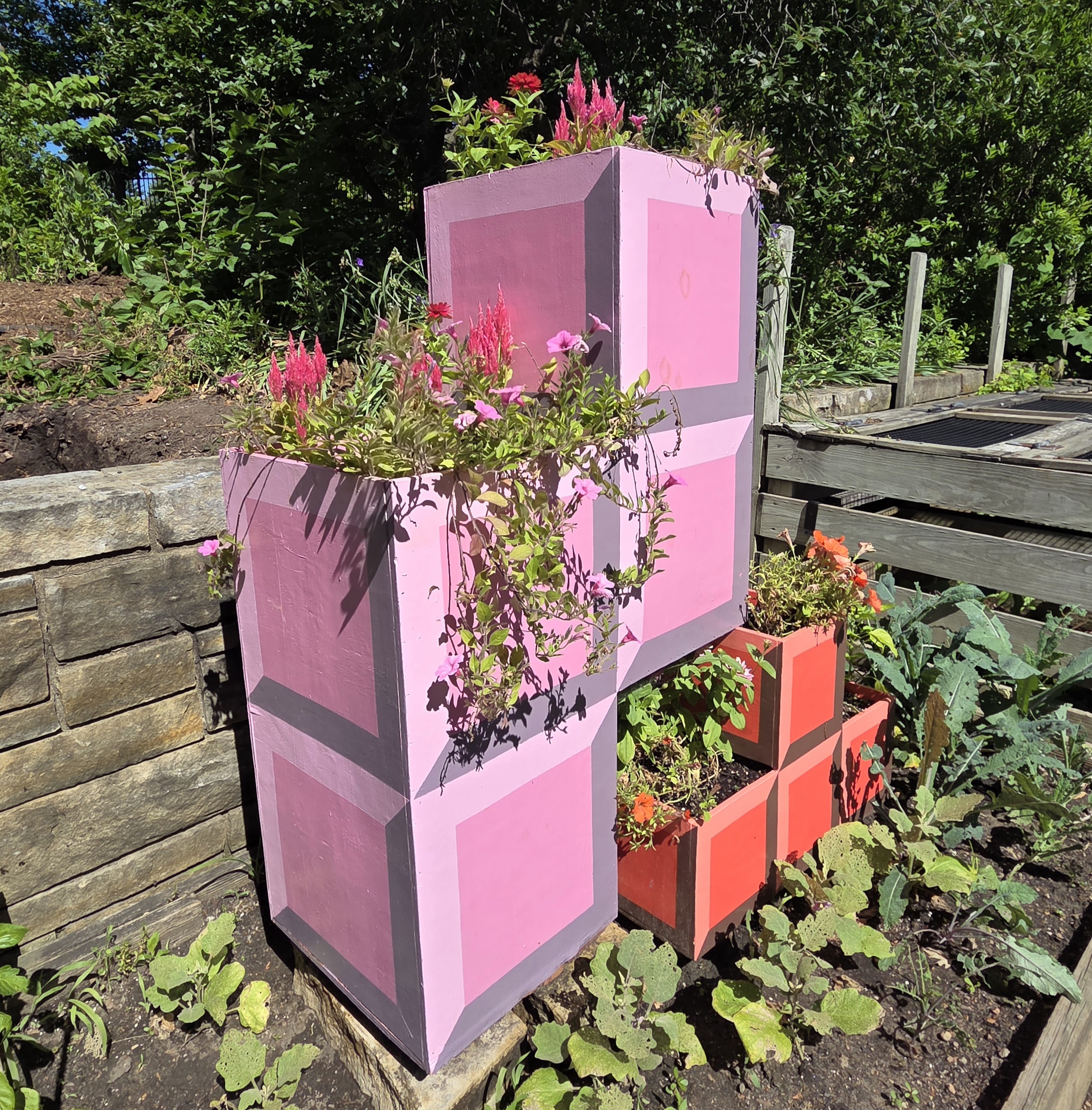 A pink Z-block Tetris container with Petunia, Celosia, and Zinnia