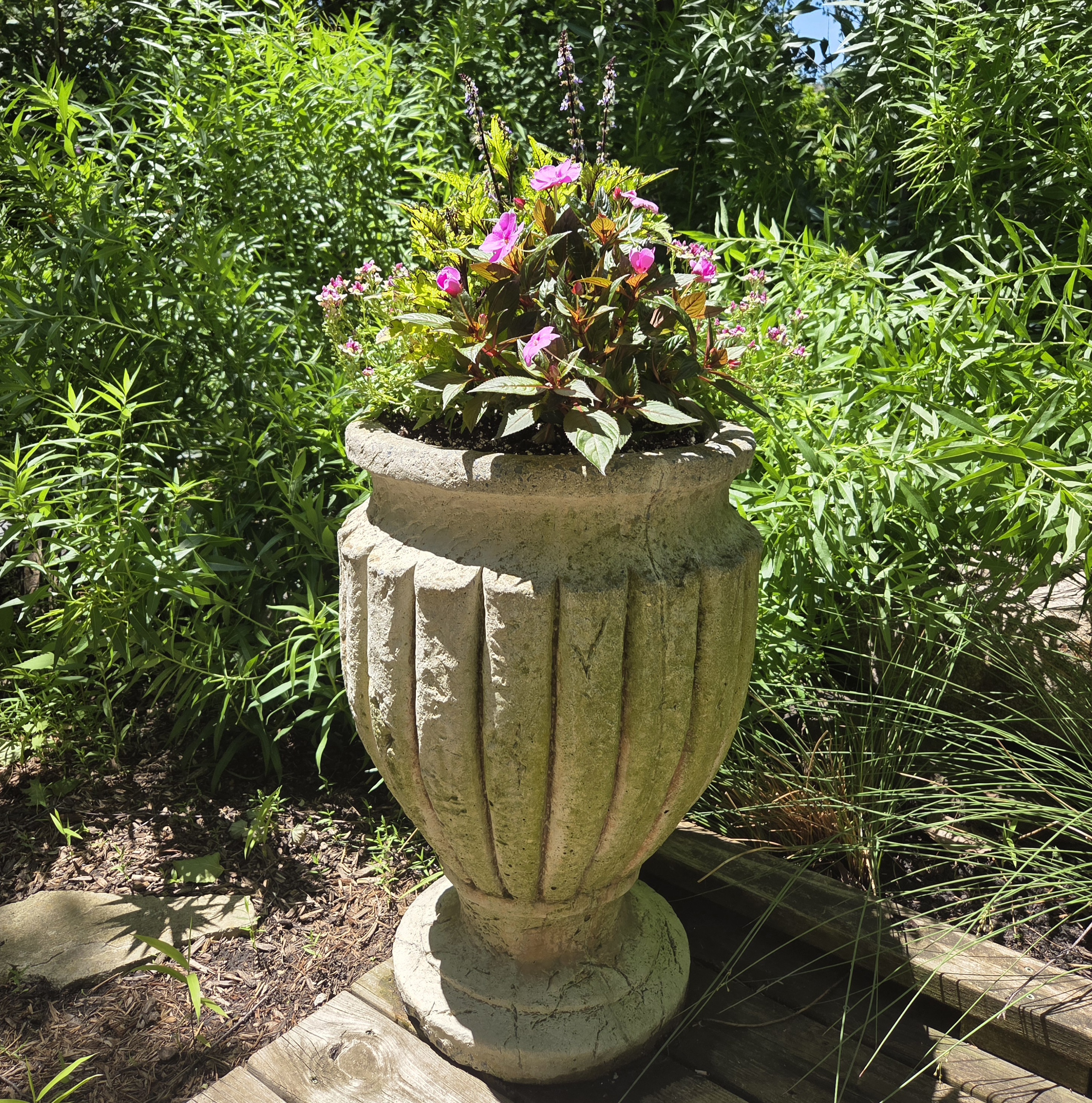 A medium sized container with Impatiens, Coleus, and Nemesia