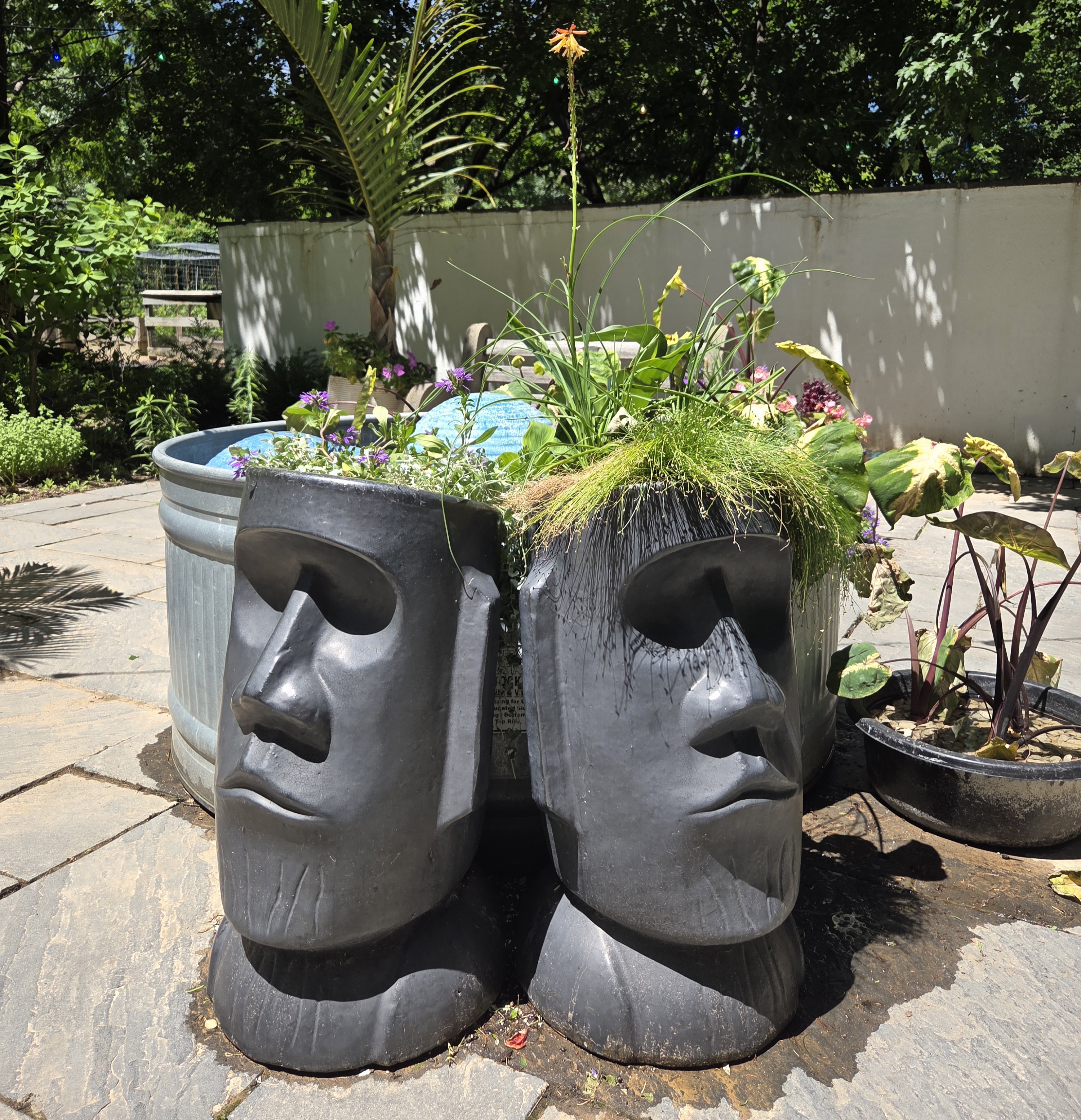 Two head-shaped containers with Dichondra, Fan Flower, Fiber Optic Grass, and Red Hot Poker
