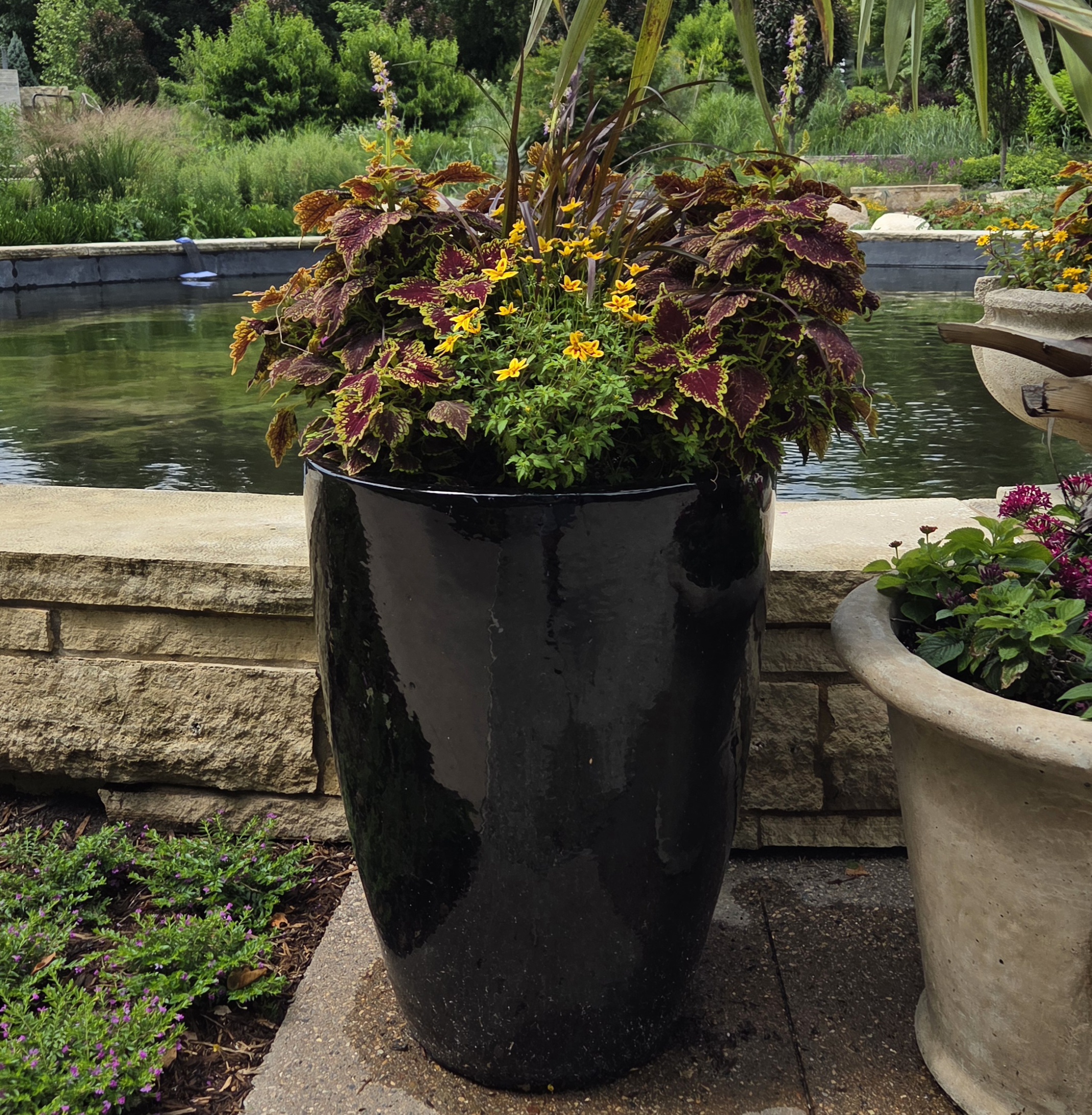 A tall black container with Coleus, Bidens, Impatiens, and Fountain Grass