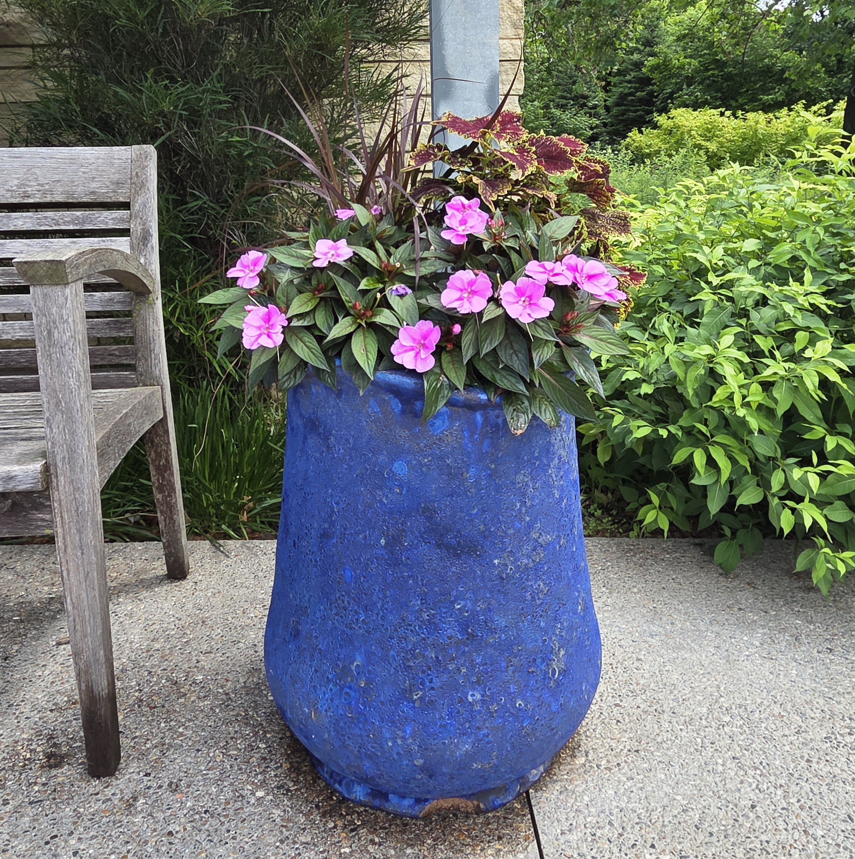 A blue container with Impatiens, Coleus, and Fountain Grass