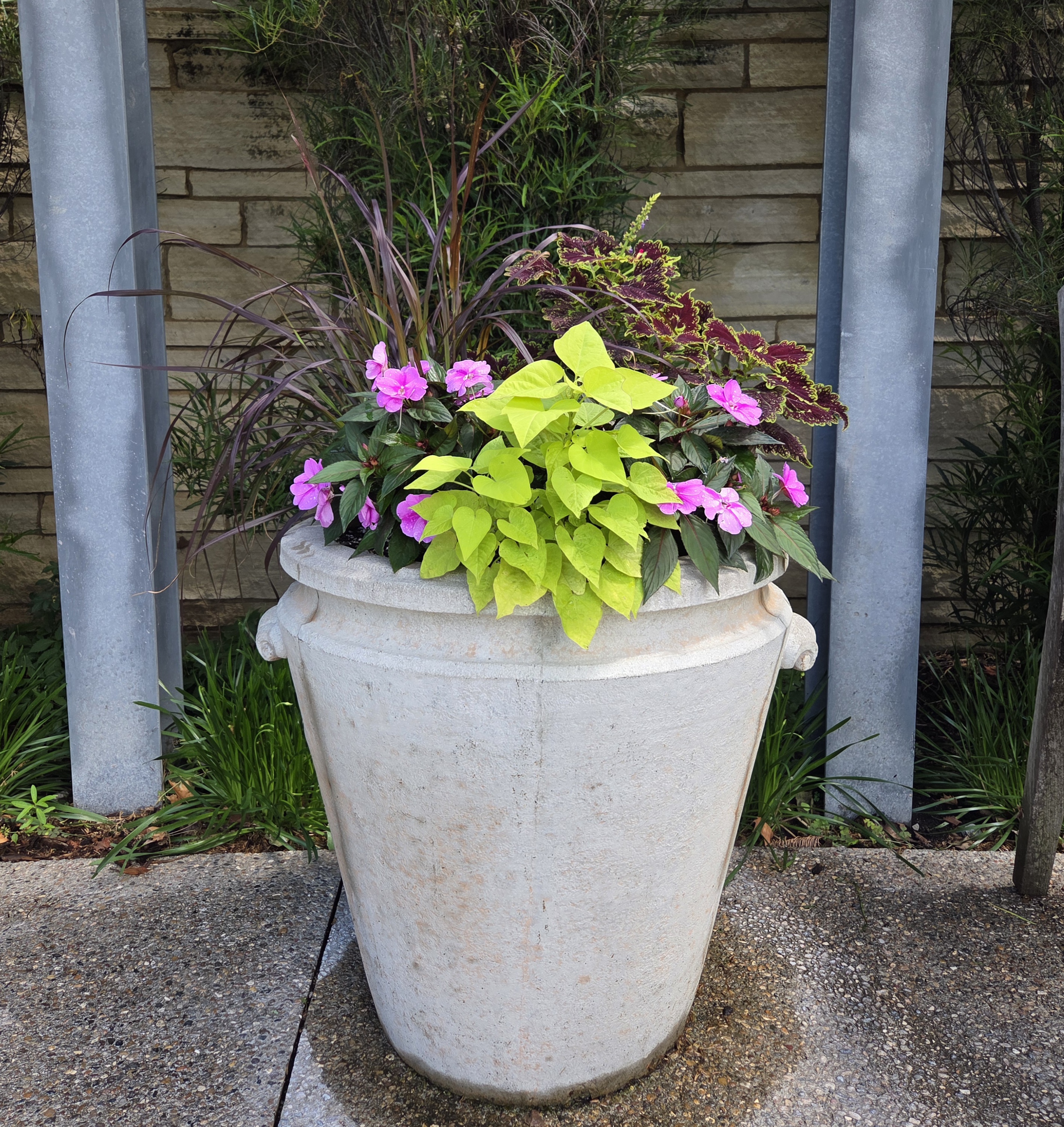 A white concrete container with Sweet Potato Vine, Coleus, Impatiens, and Fountain Grass