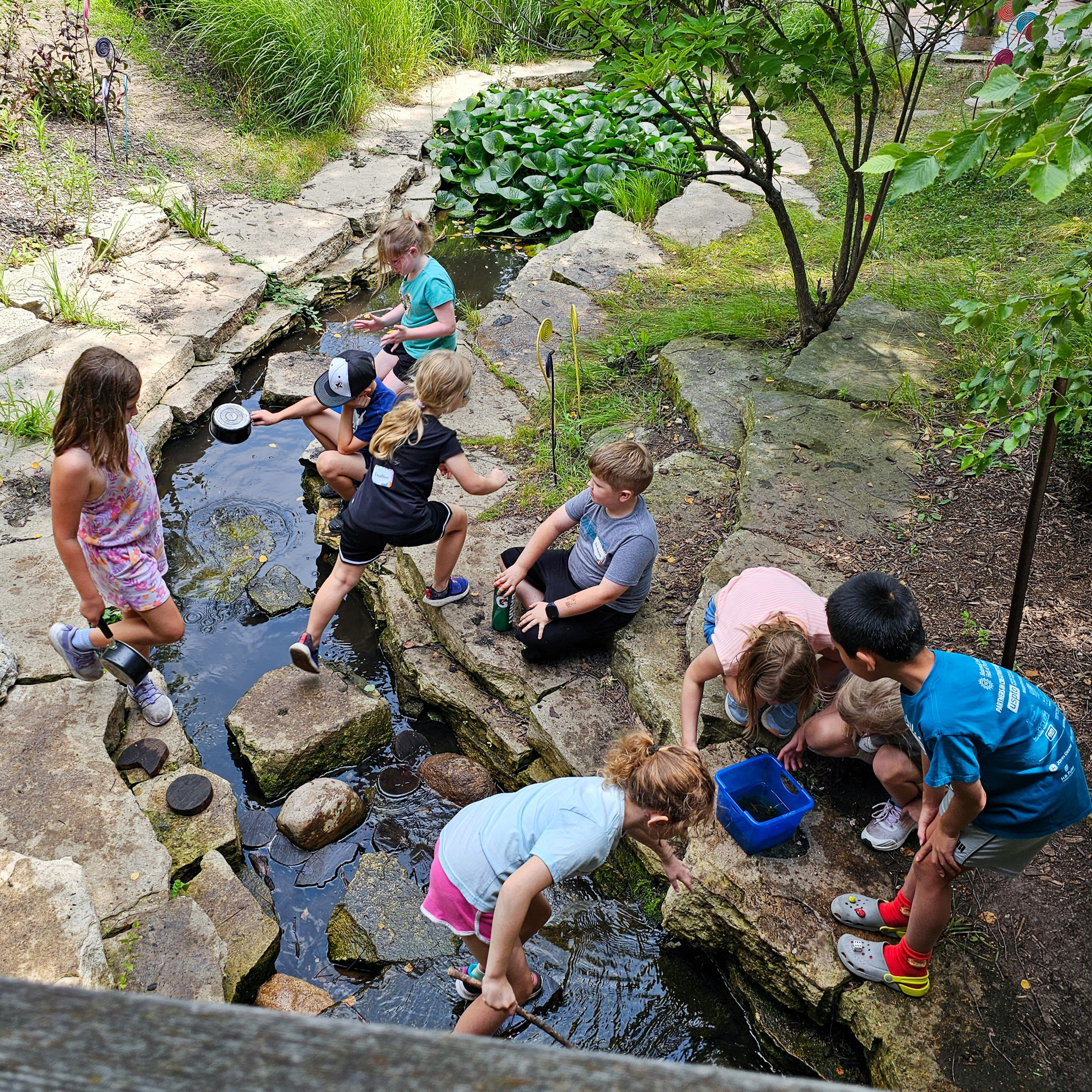 Children exploring a stream during a day camp