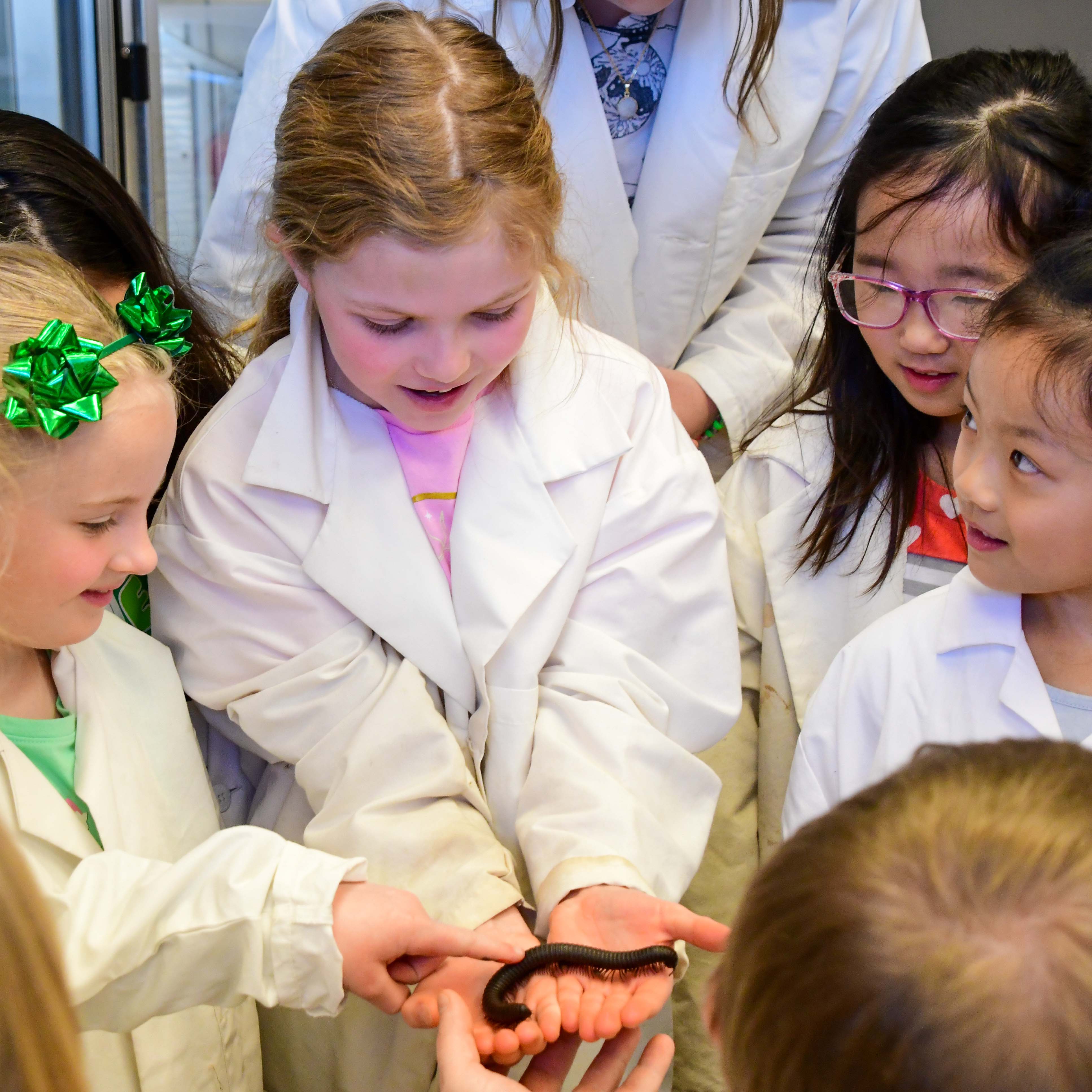 Young girl holding an insect during a camp