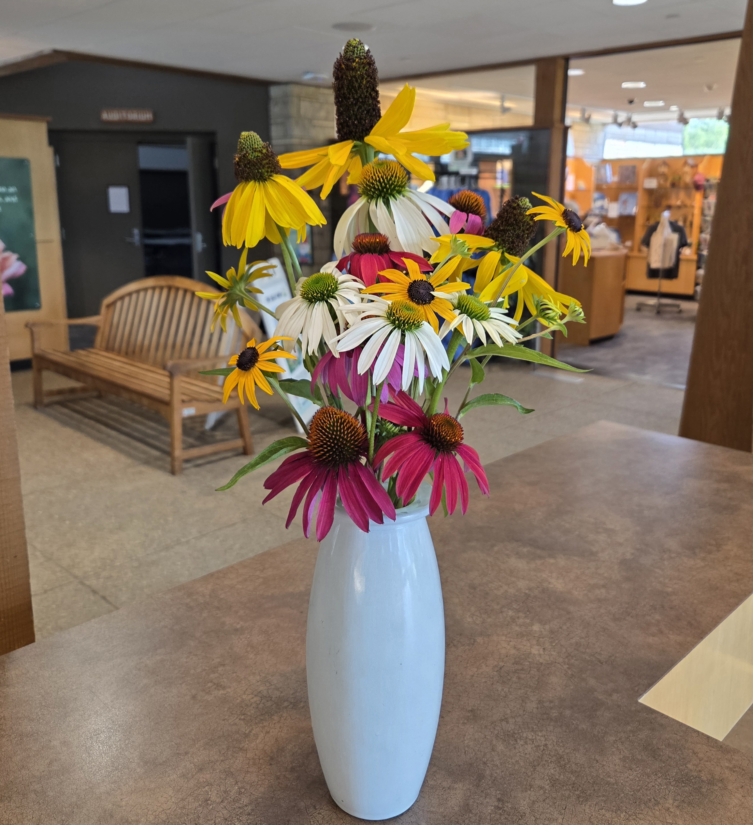 An opaque white vase with 4 kinds of coneflower in shades of yellow, white, and purple.