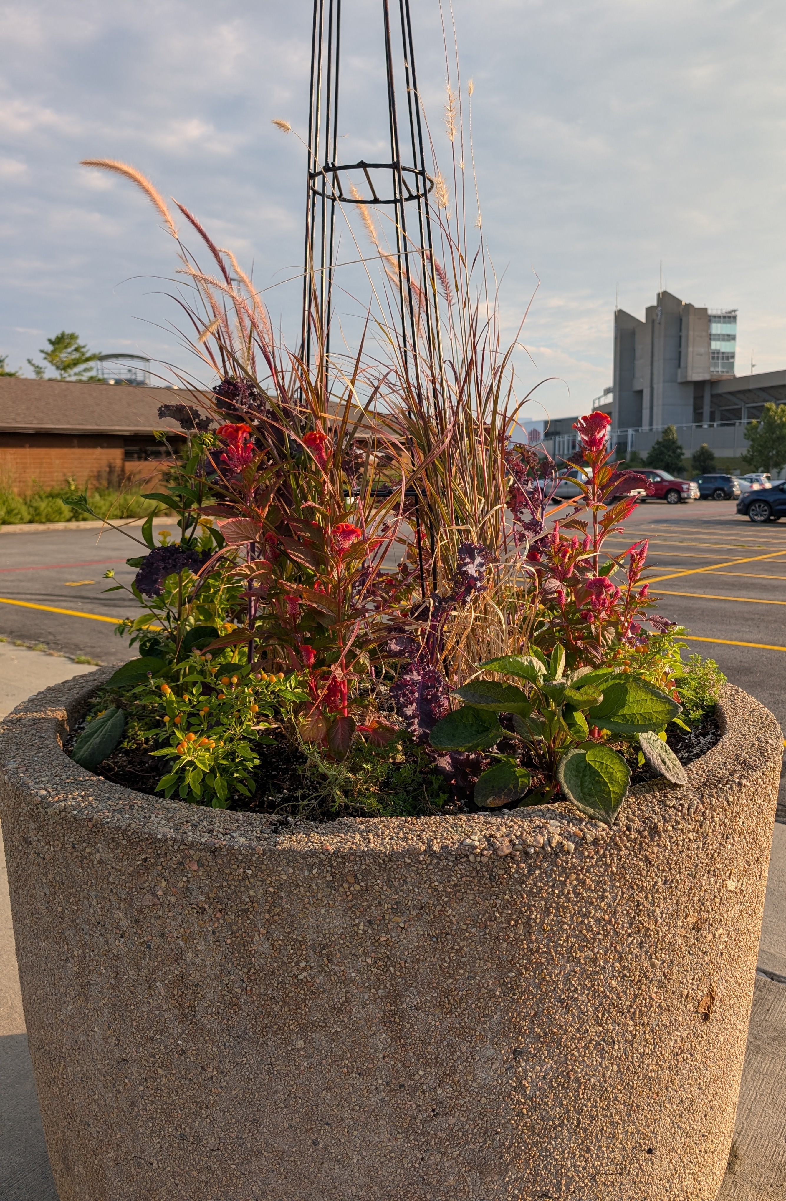container showing fall color