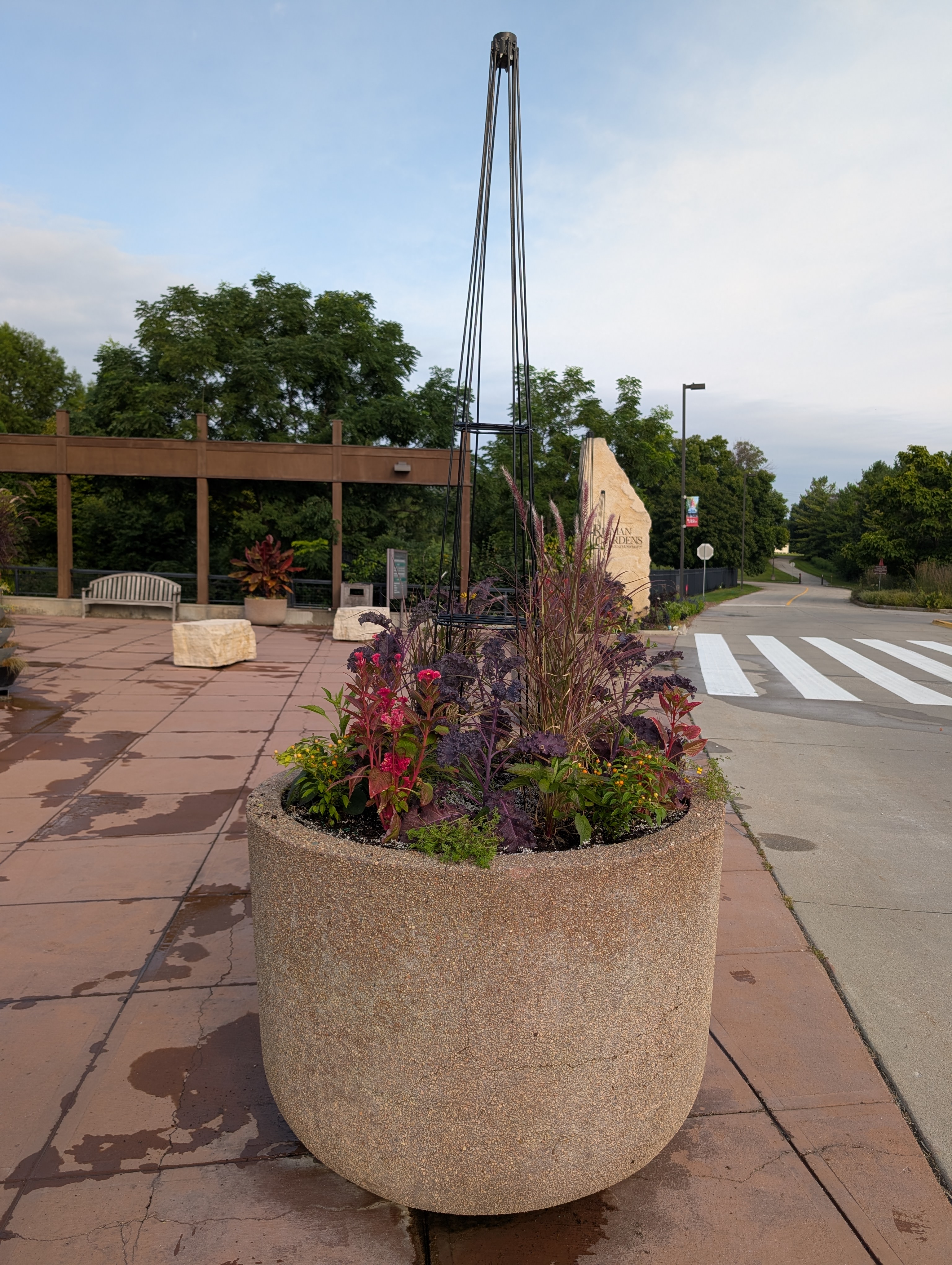 concrete container with fall annuals