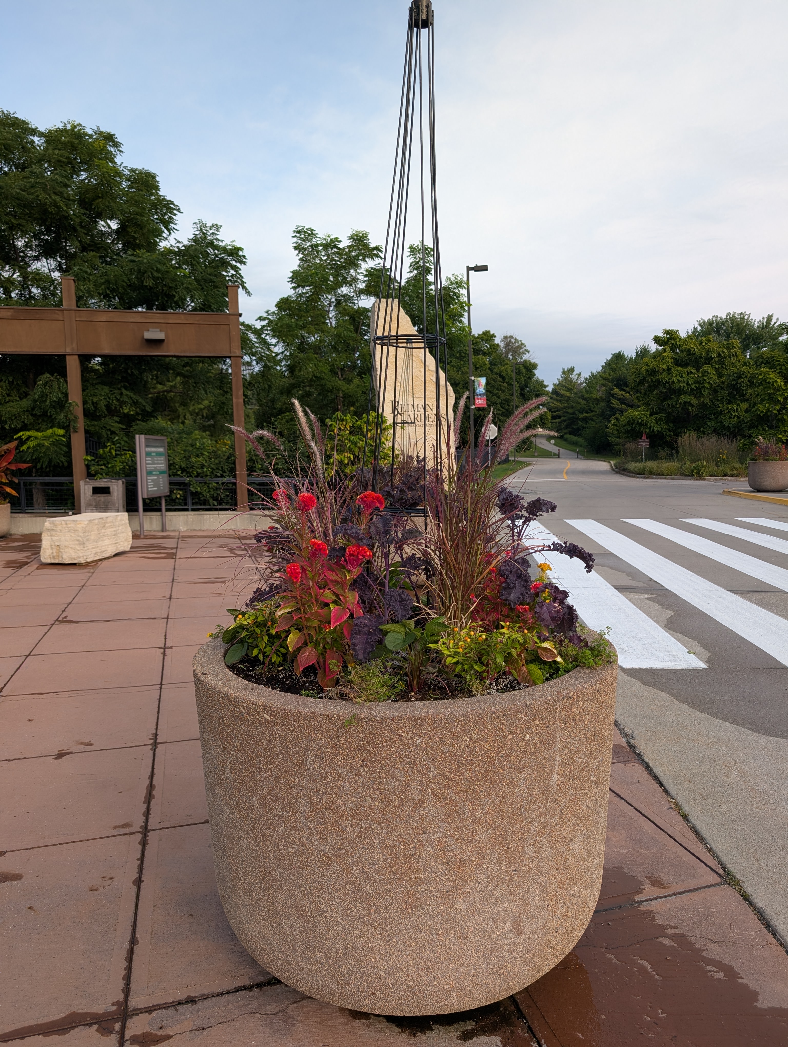 concrete container with fall annuals