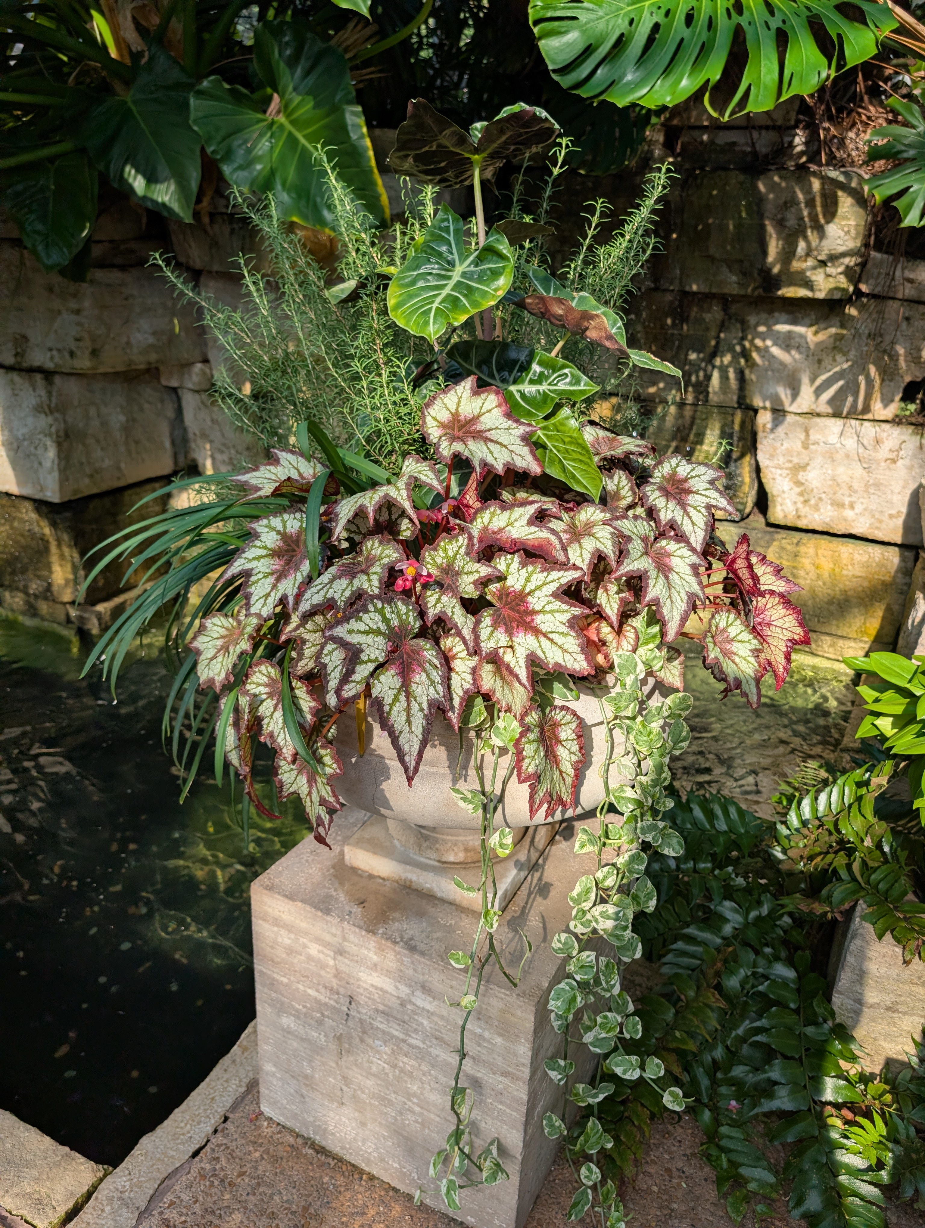 a stone urn container filled with plants