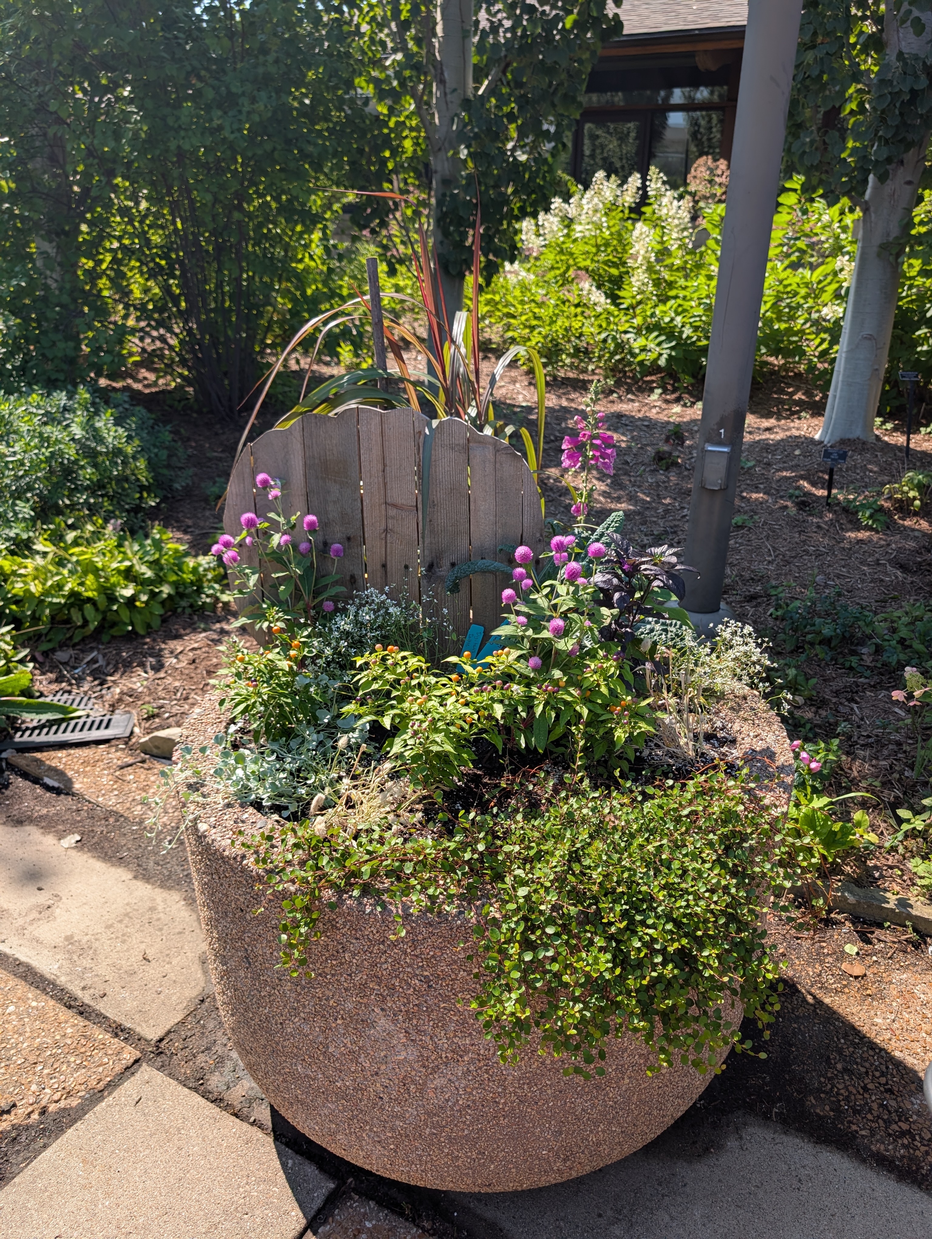 concrete container with cut-out pumpkin and fall plants