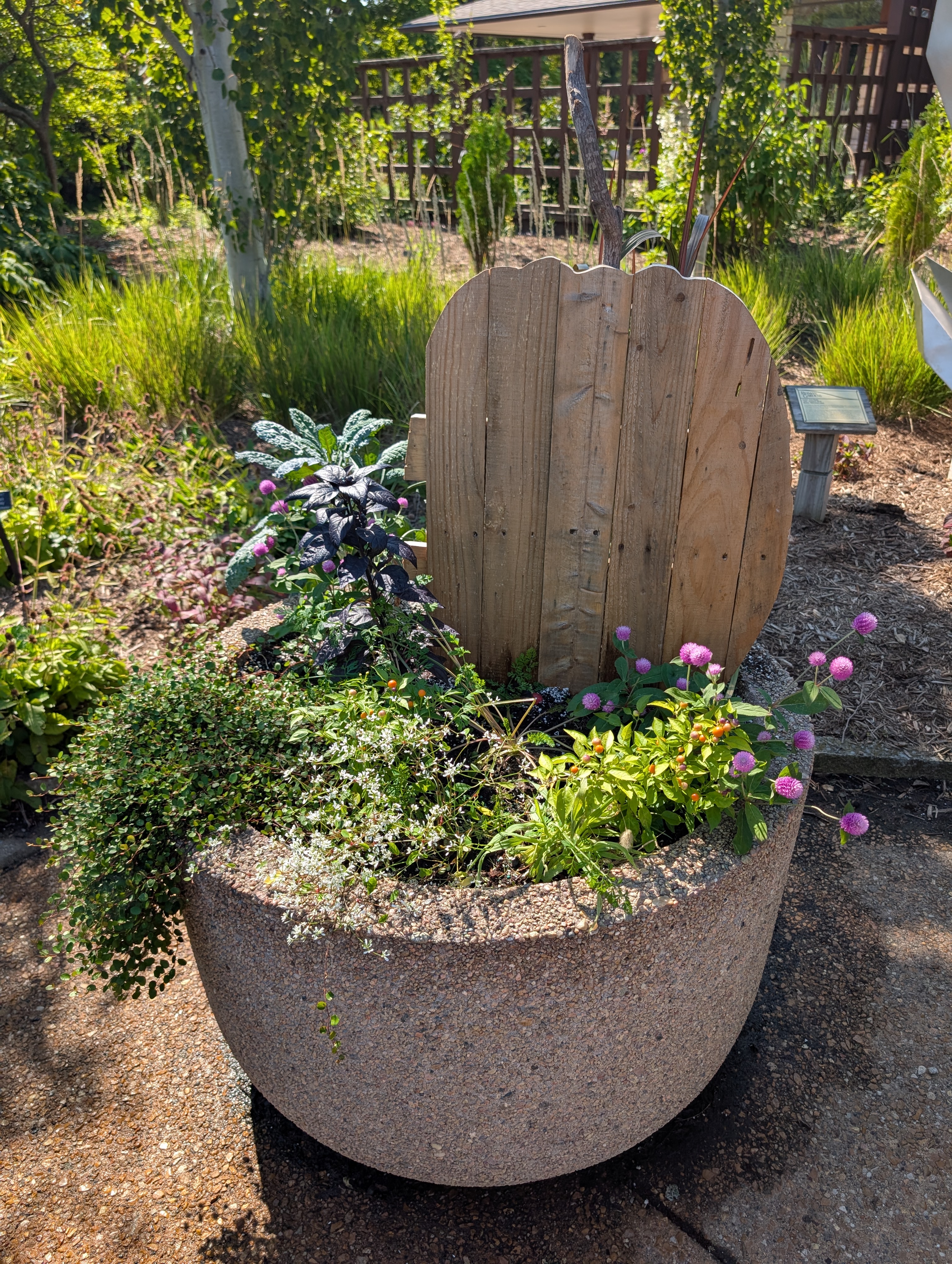 concrete container with a pumpkin cut-out and fall plants