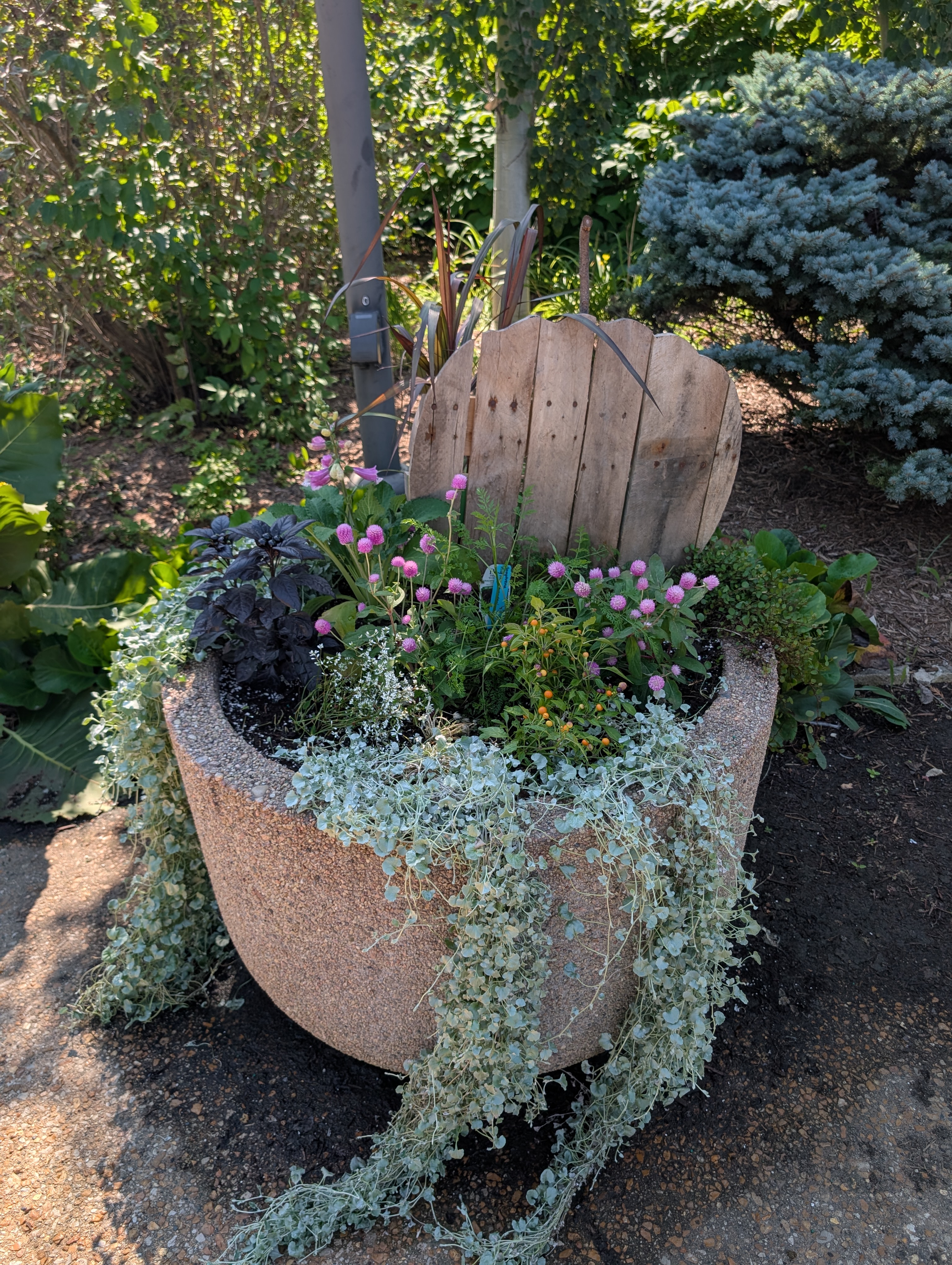 Concrete containers with pumpkin cut-out and fall plants