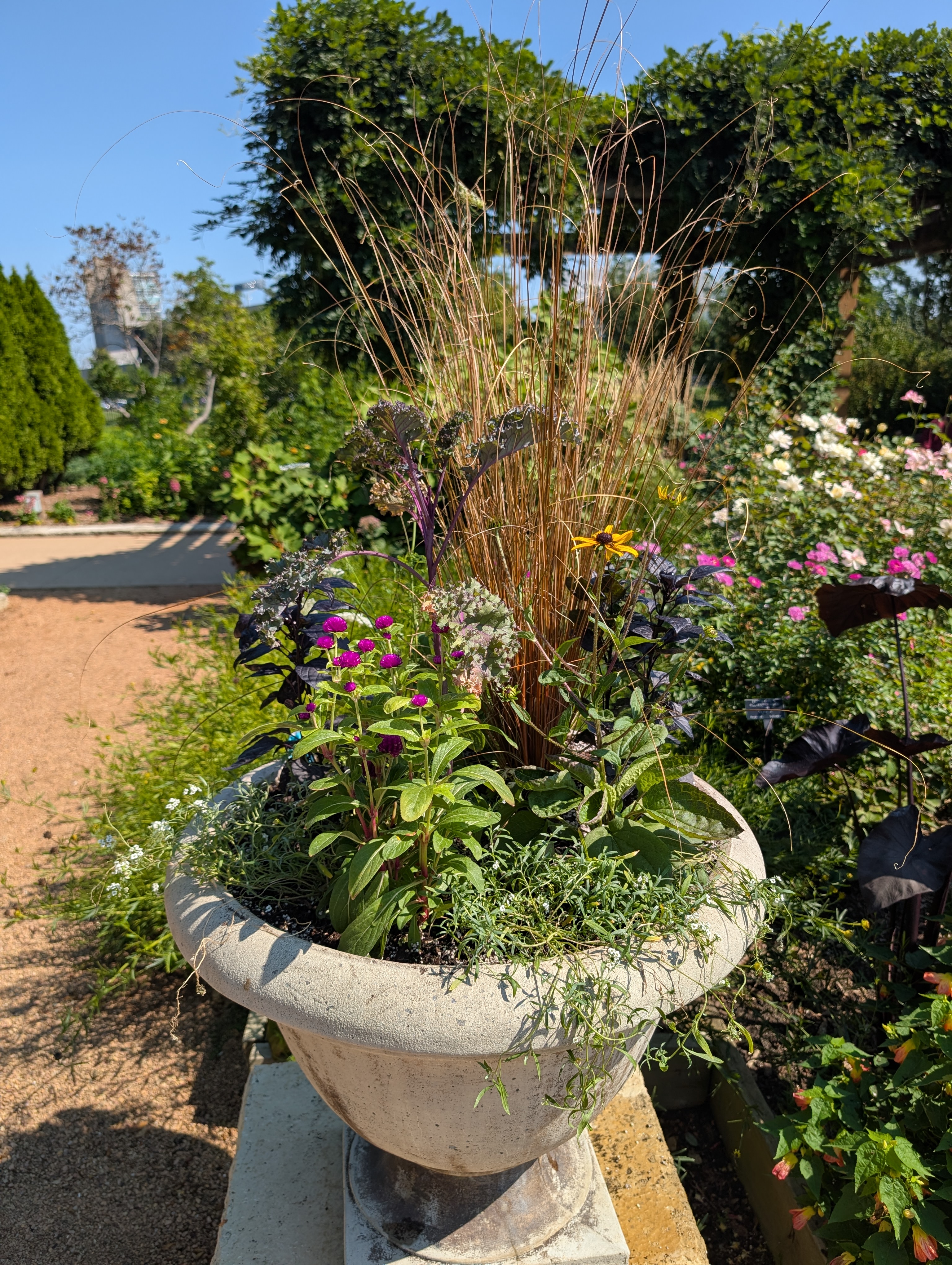 Urn container with fall annuals