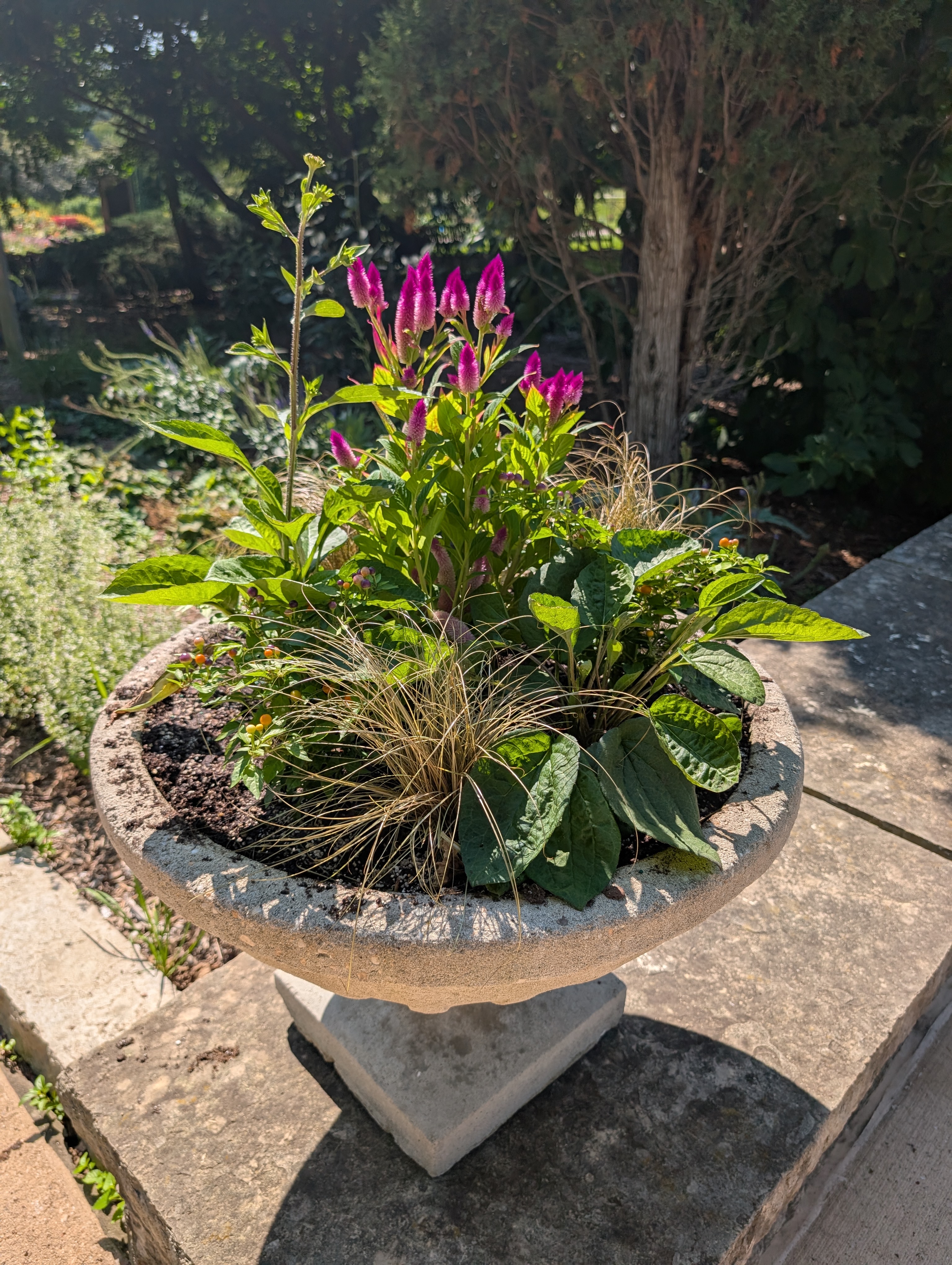 Concrete urn with fall plants
