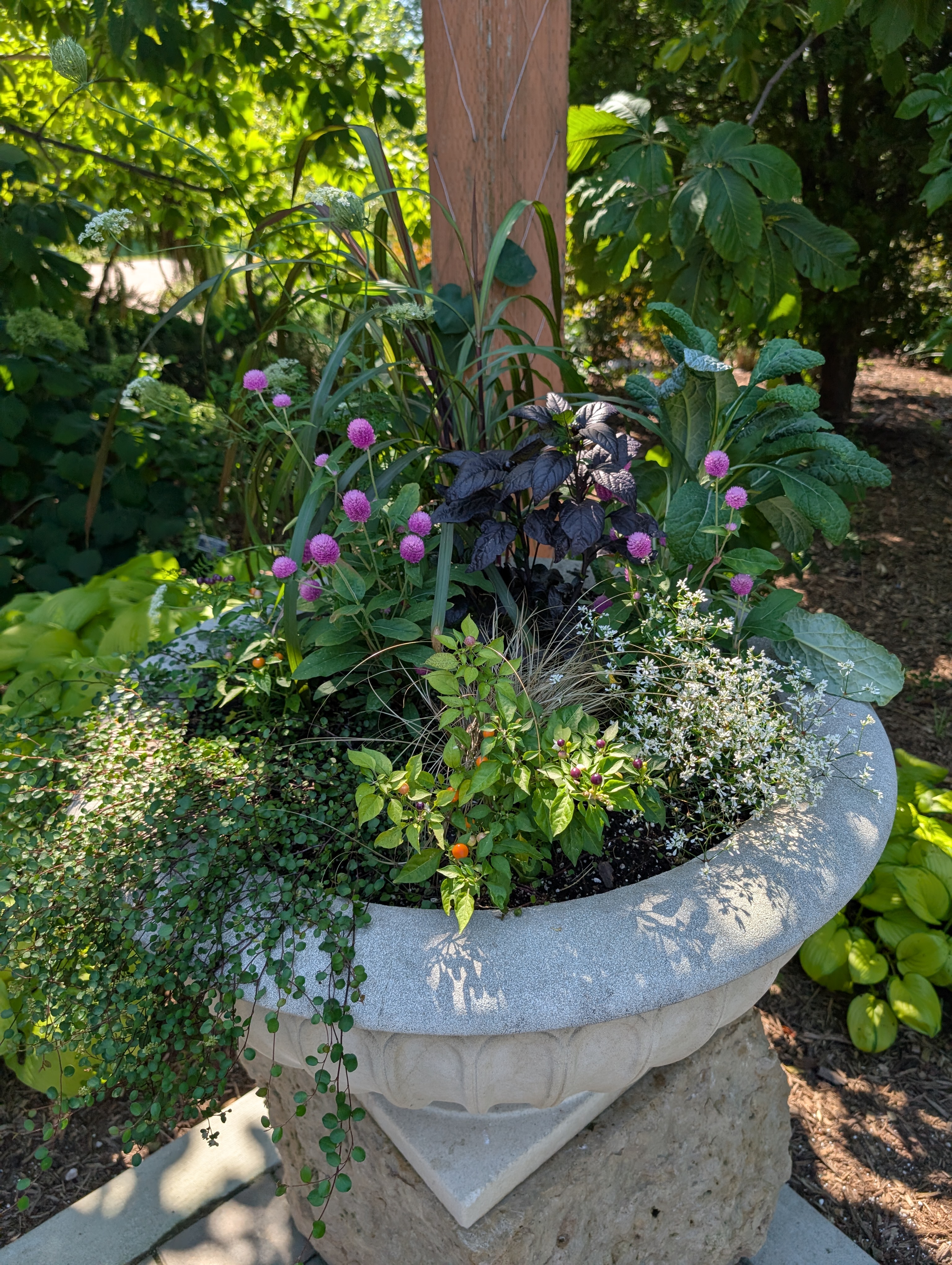 Concrete urn with fall plants