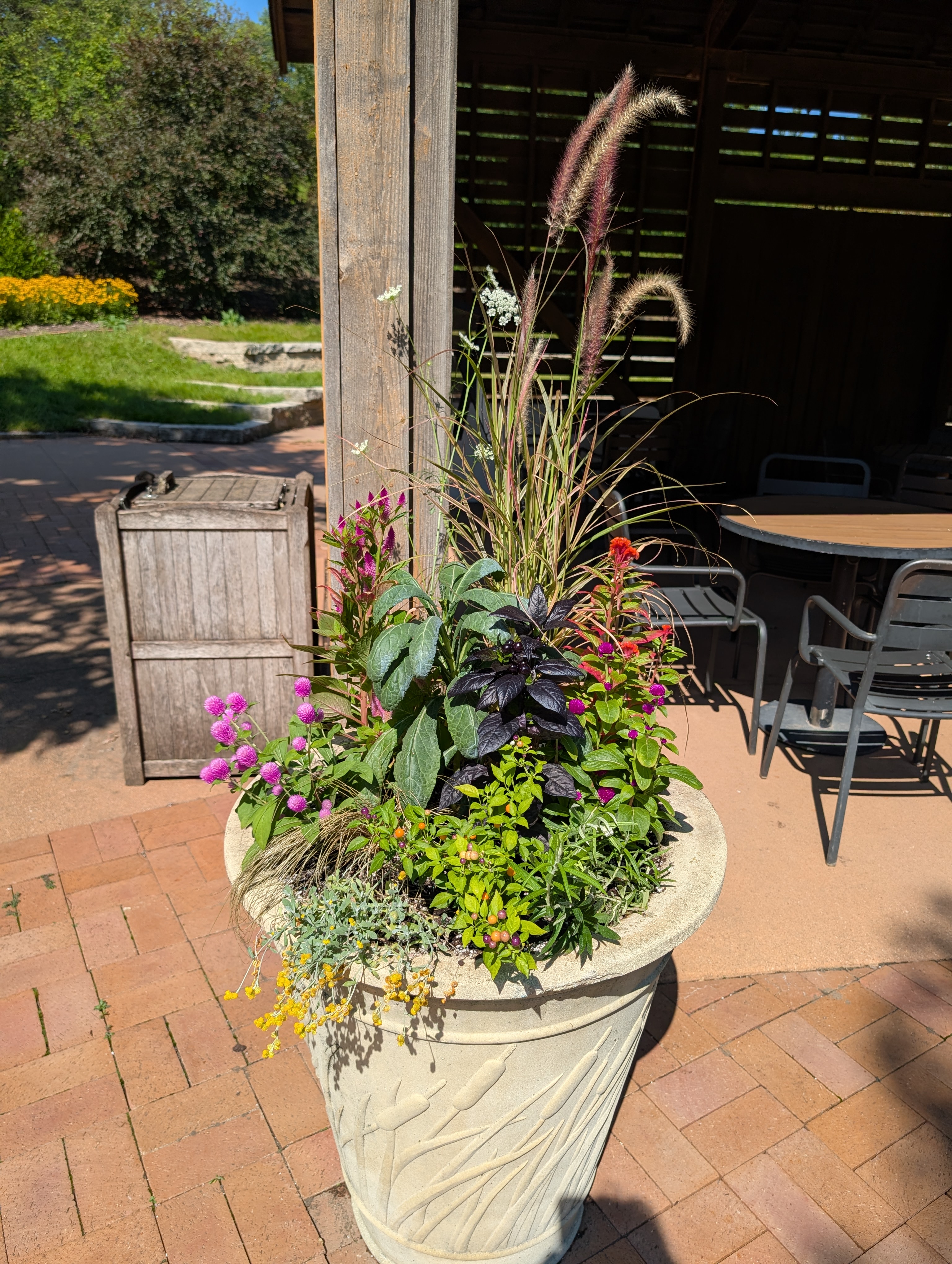 Upright container with fall annuals