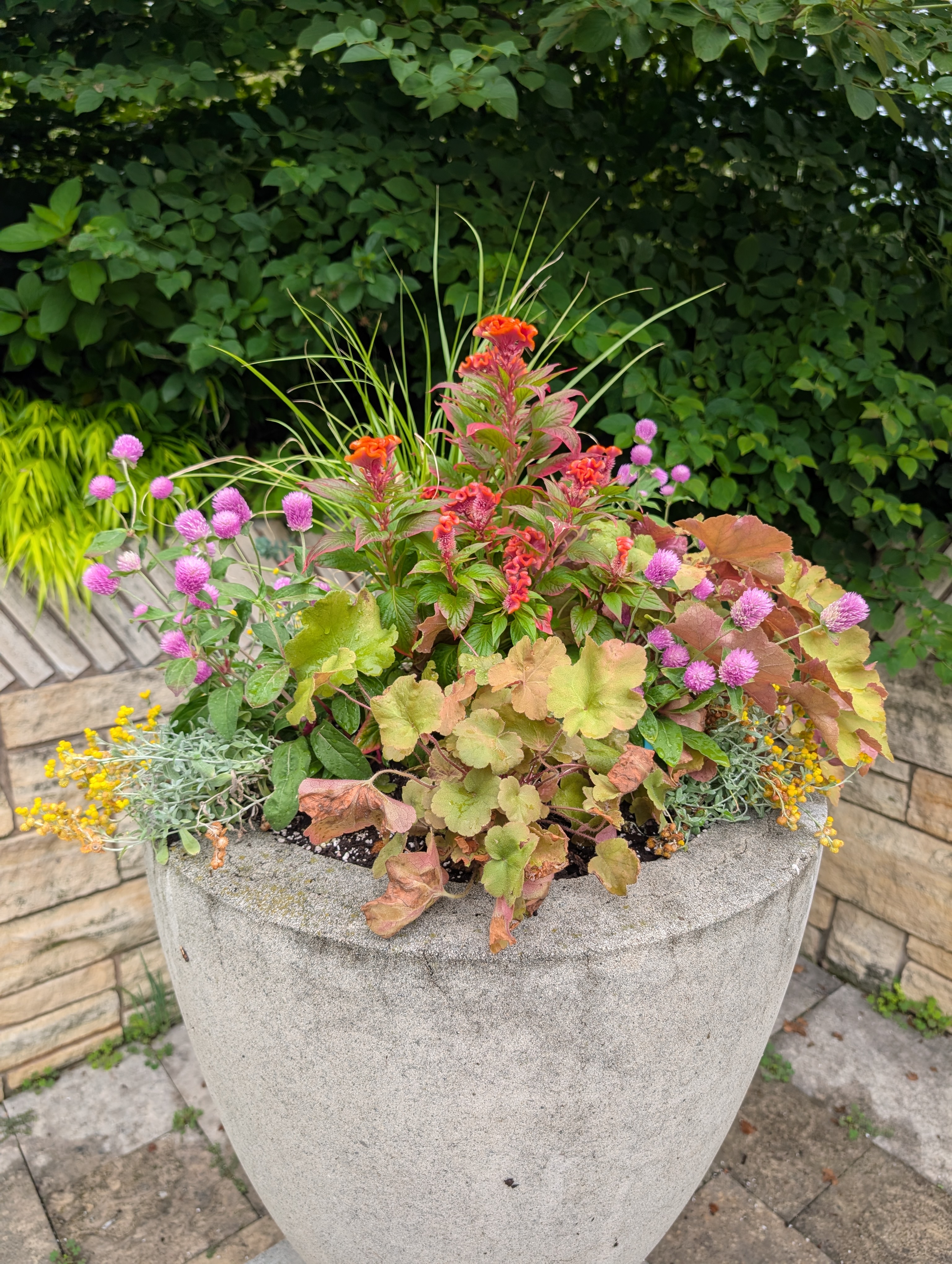 large concrete container with fall plants