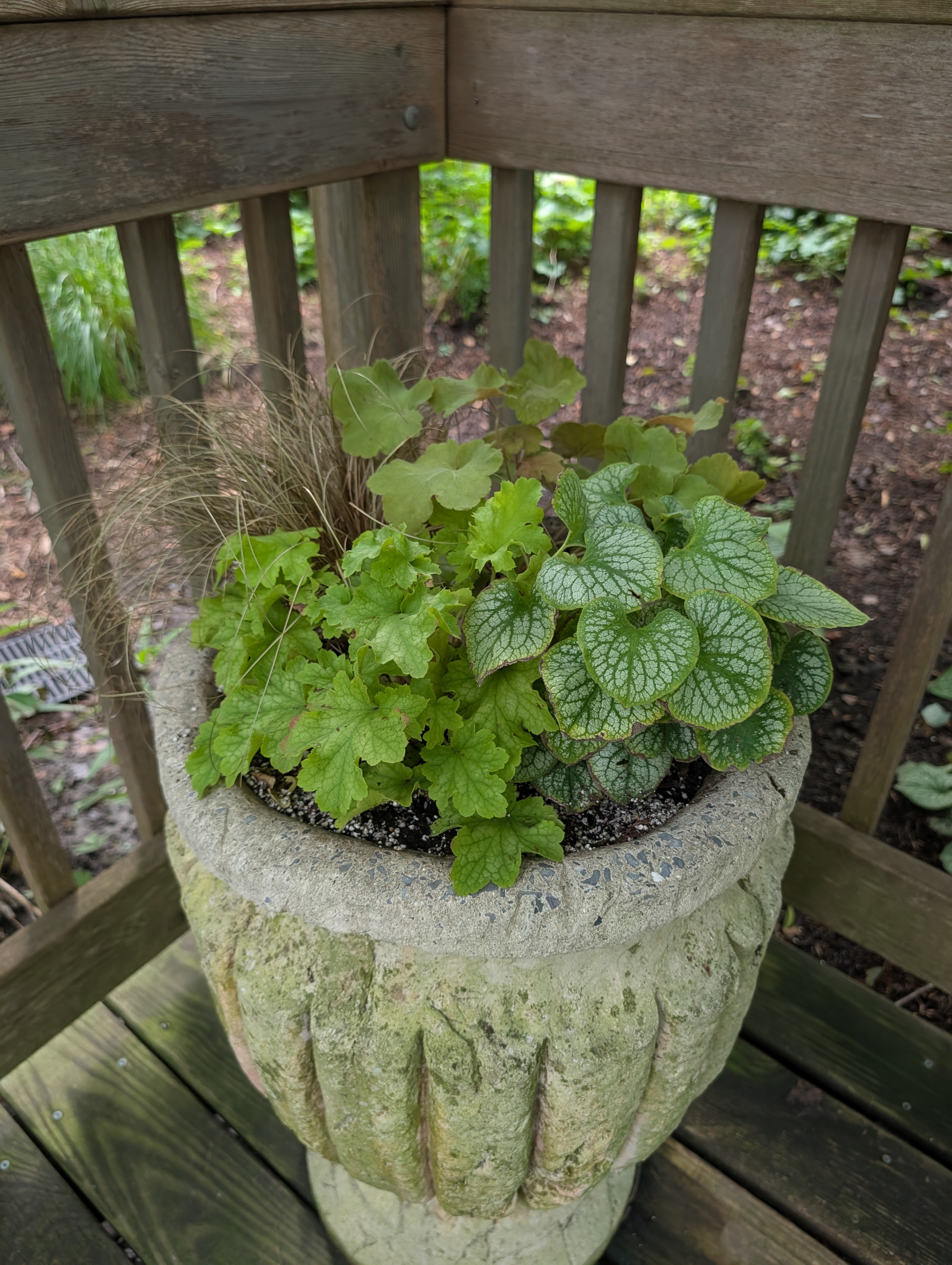 Concrete urn container with fall plants