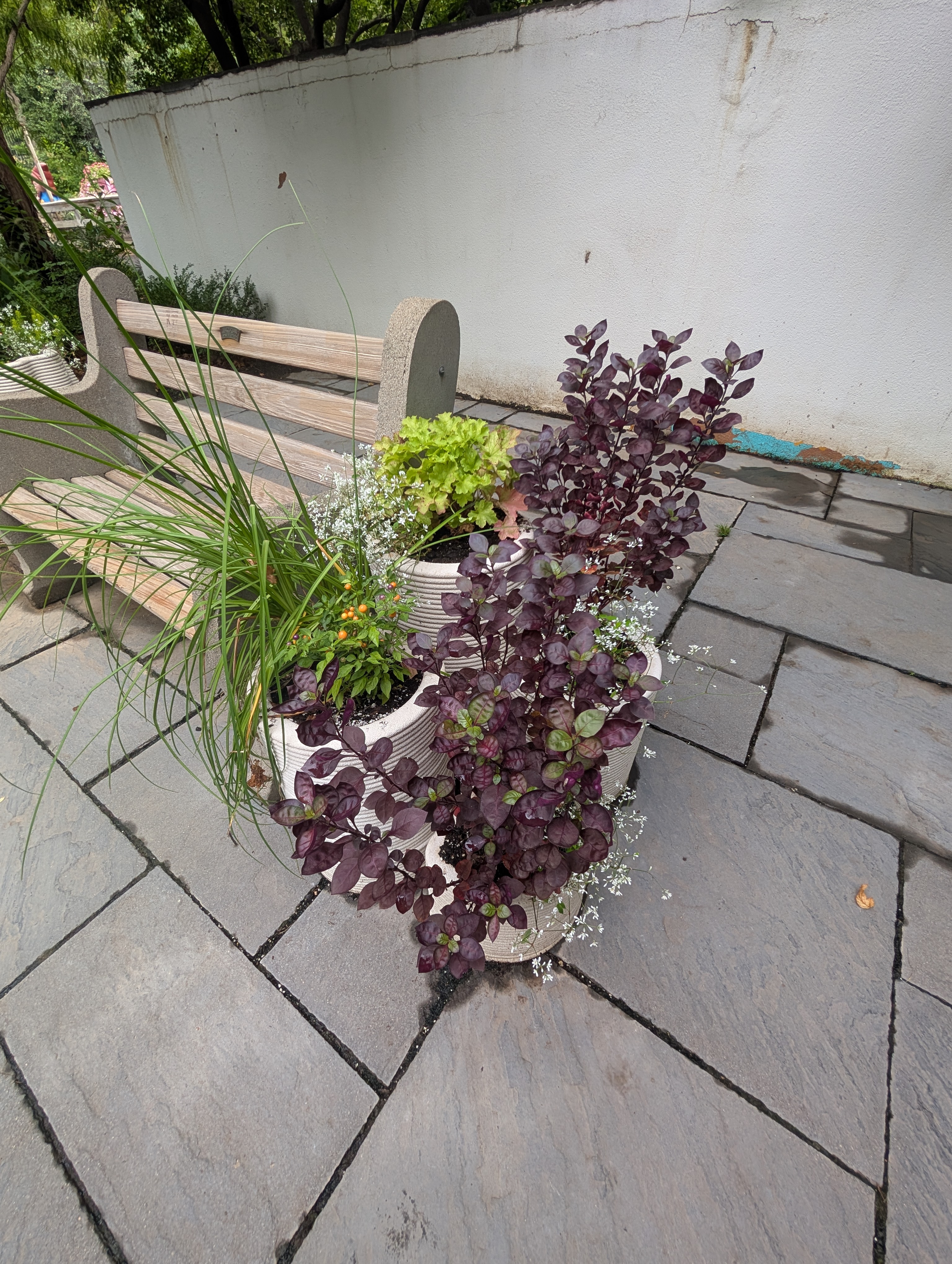 A group of four 3d printed containers with fall plants