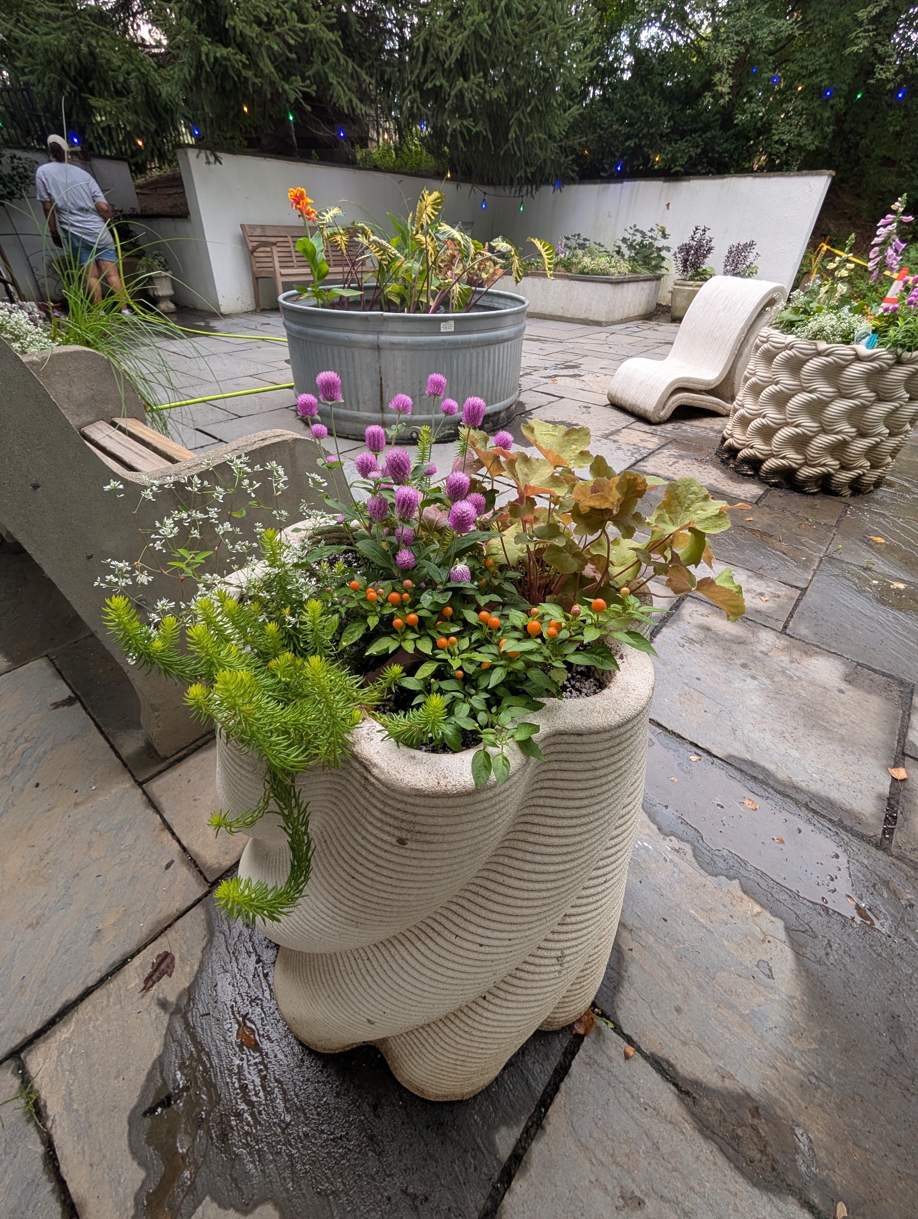 3D Printed spiral container with fall plants