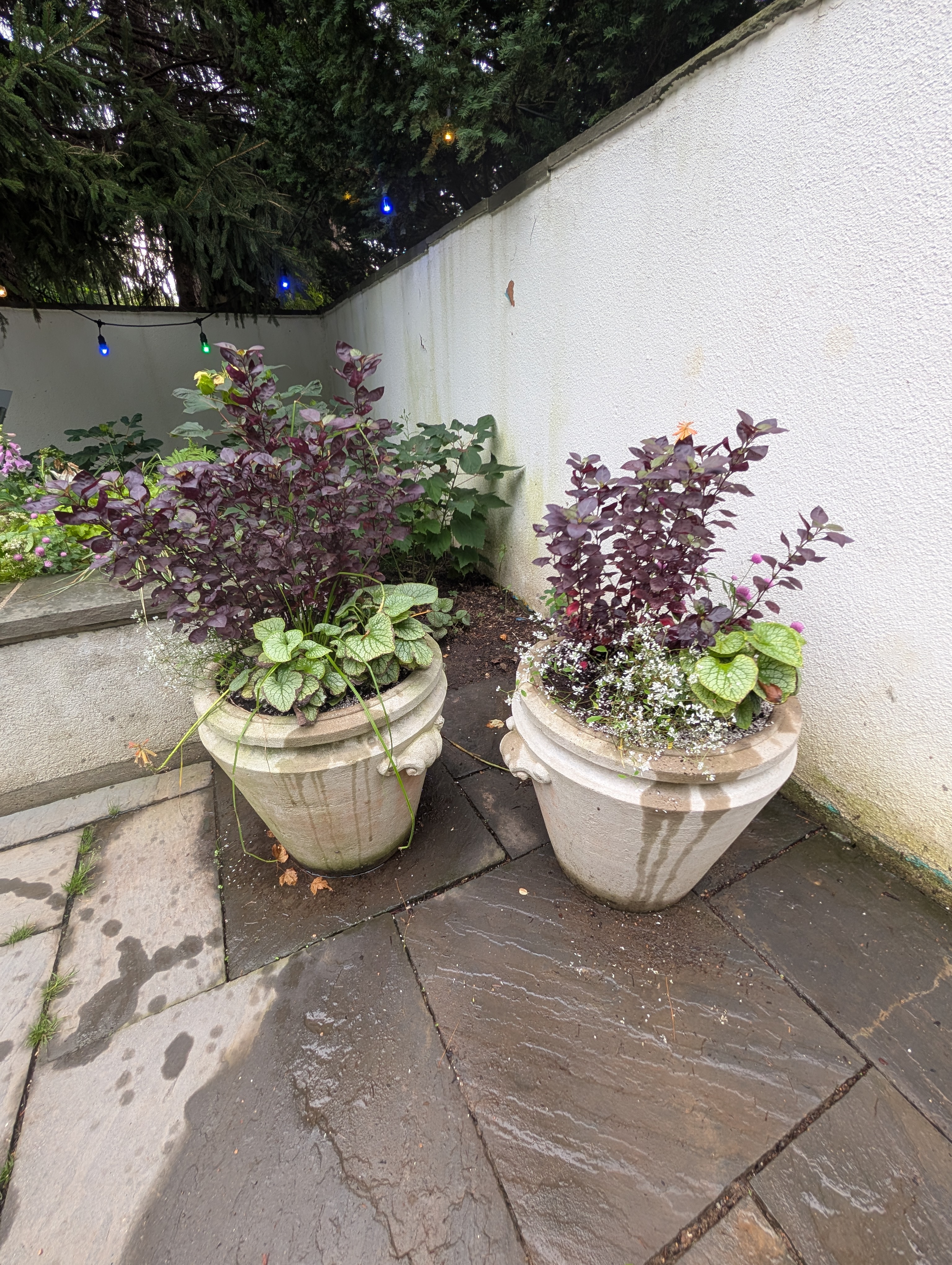 Two concrete containers with fall plants