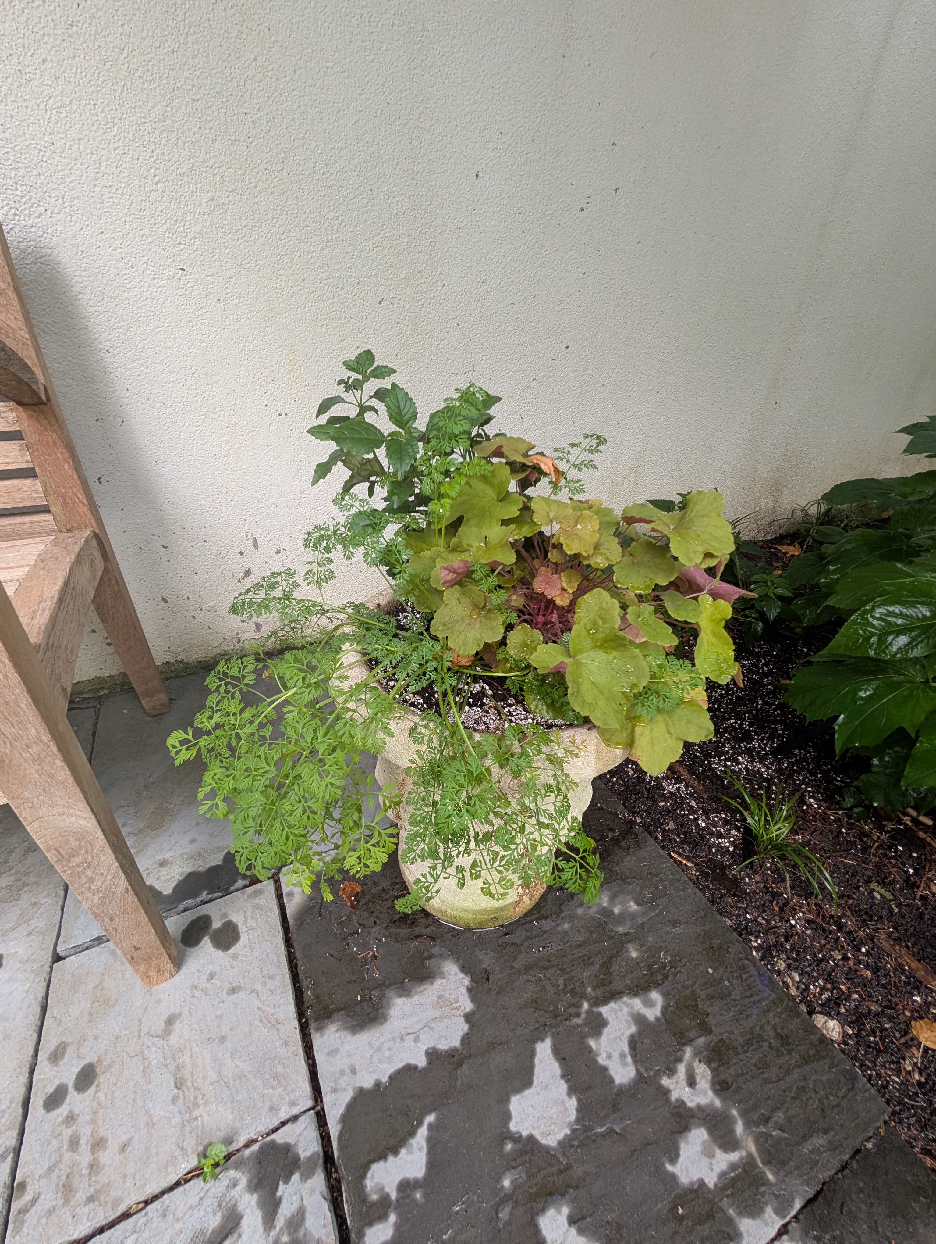 Small concrete urn with fall plants