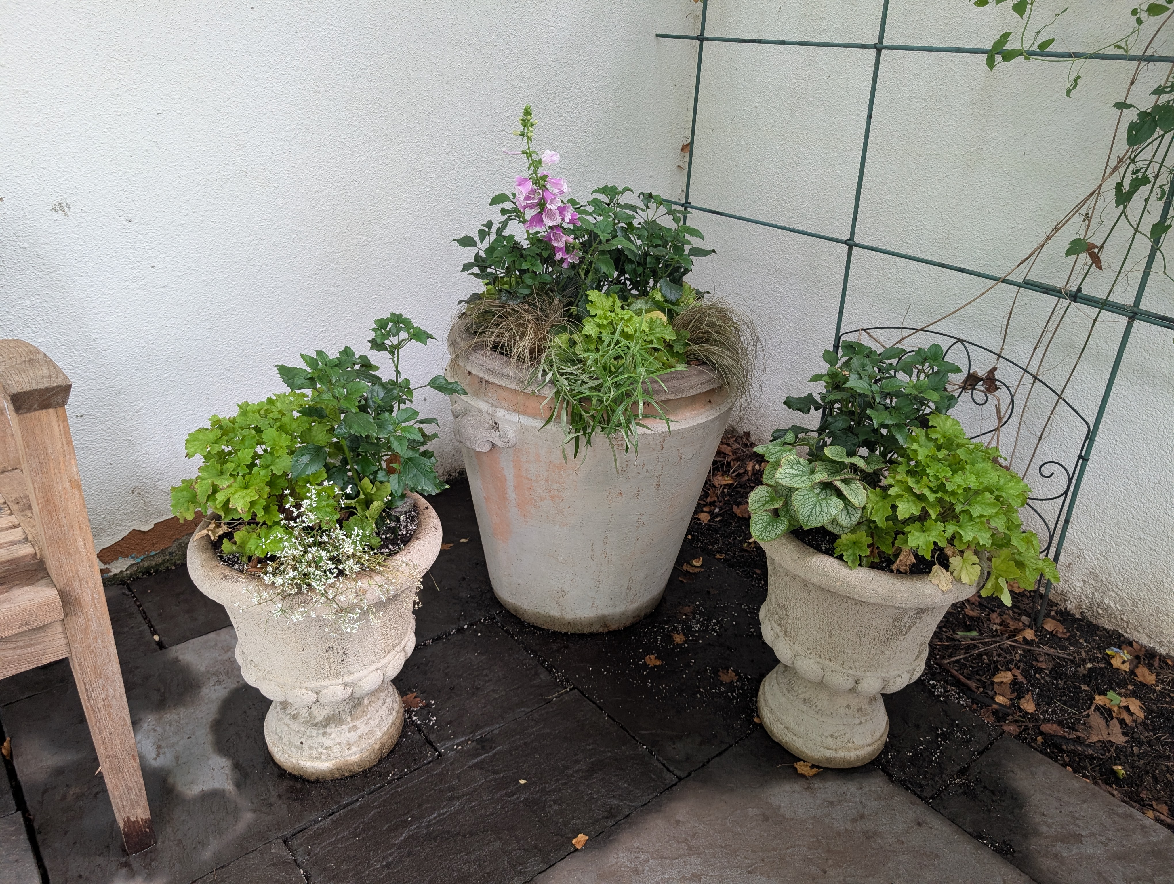 Group of 3 containers with fall annuals