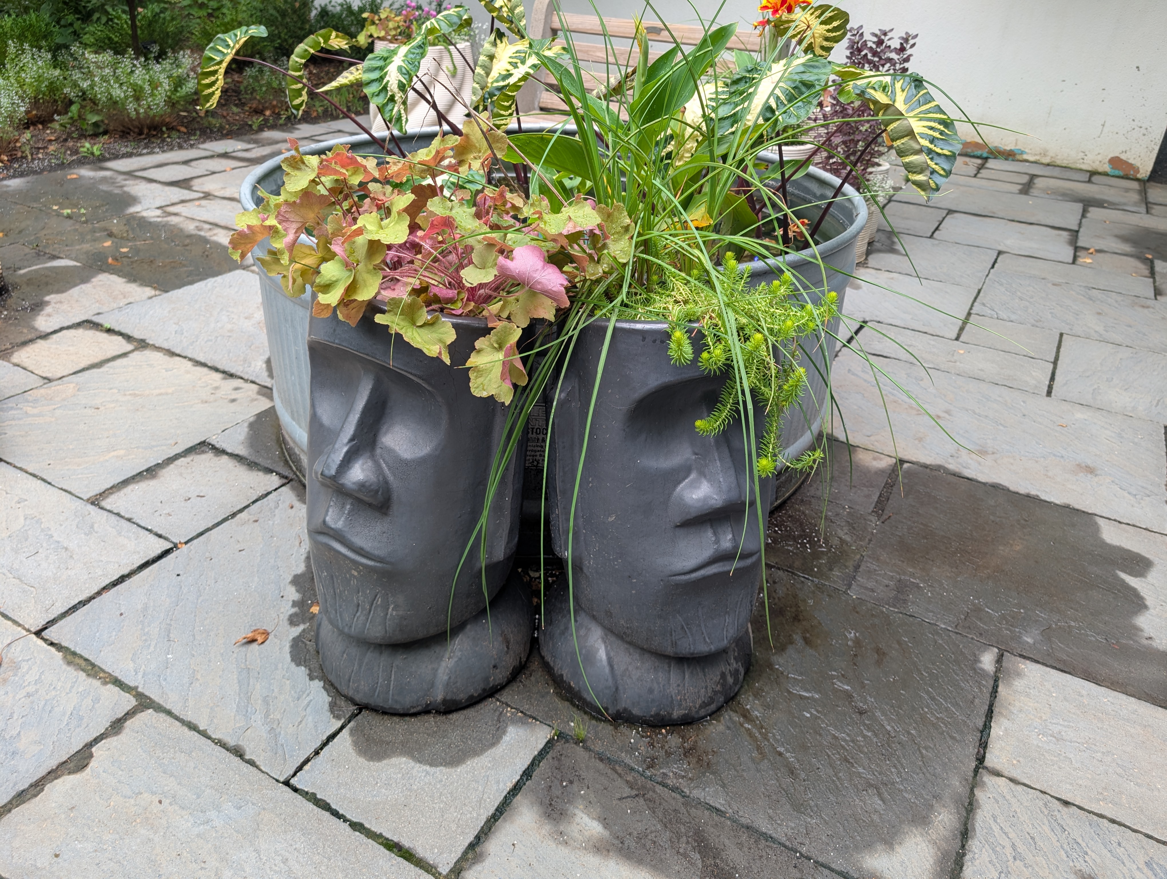 stone head containers with fall plants