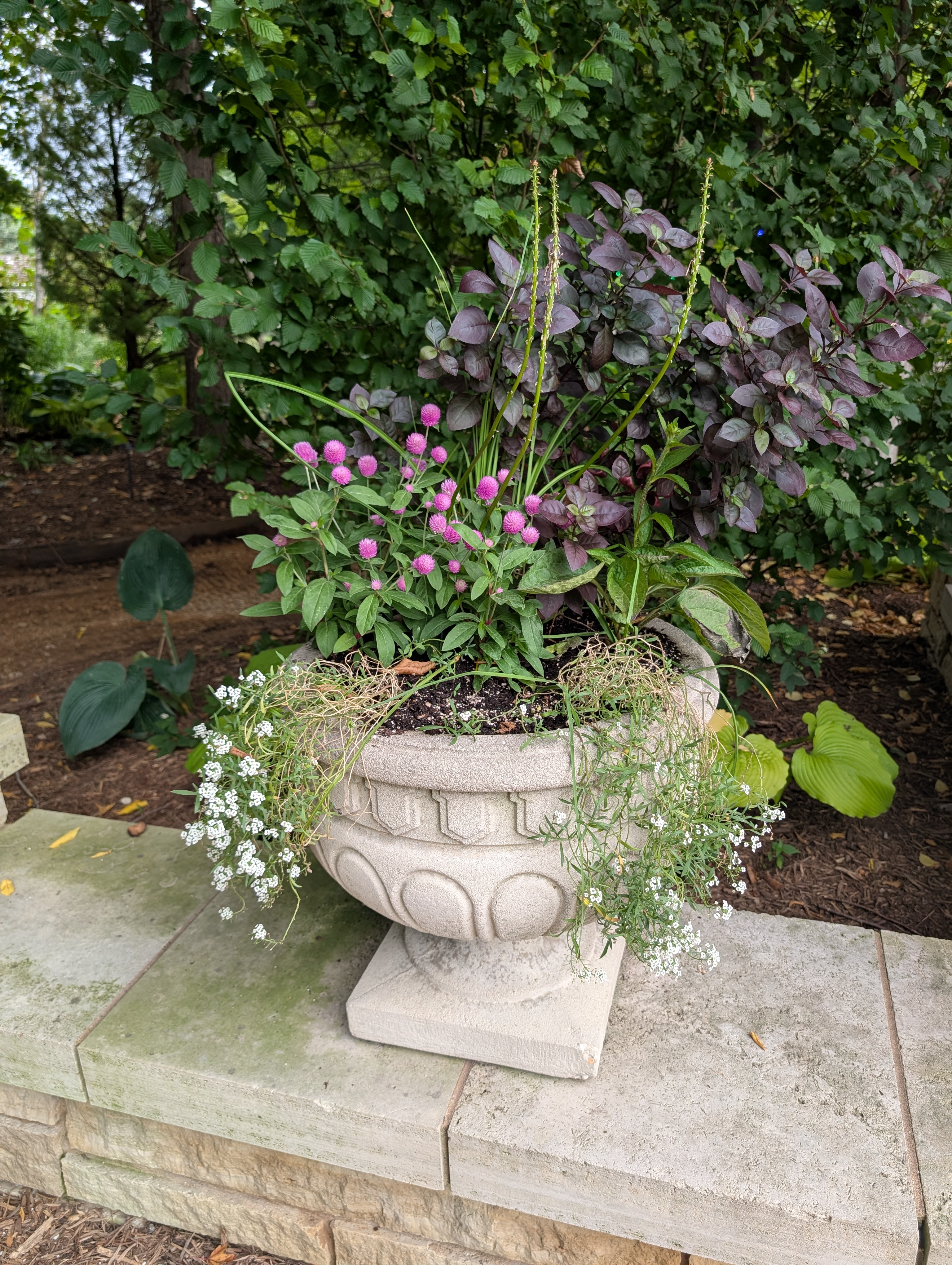 concrete urn with fall plants