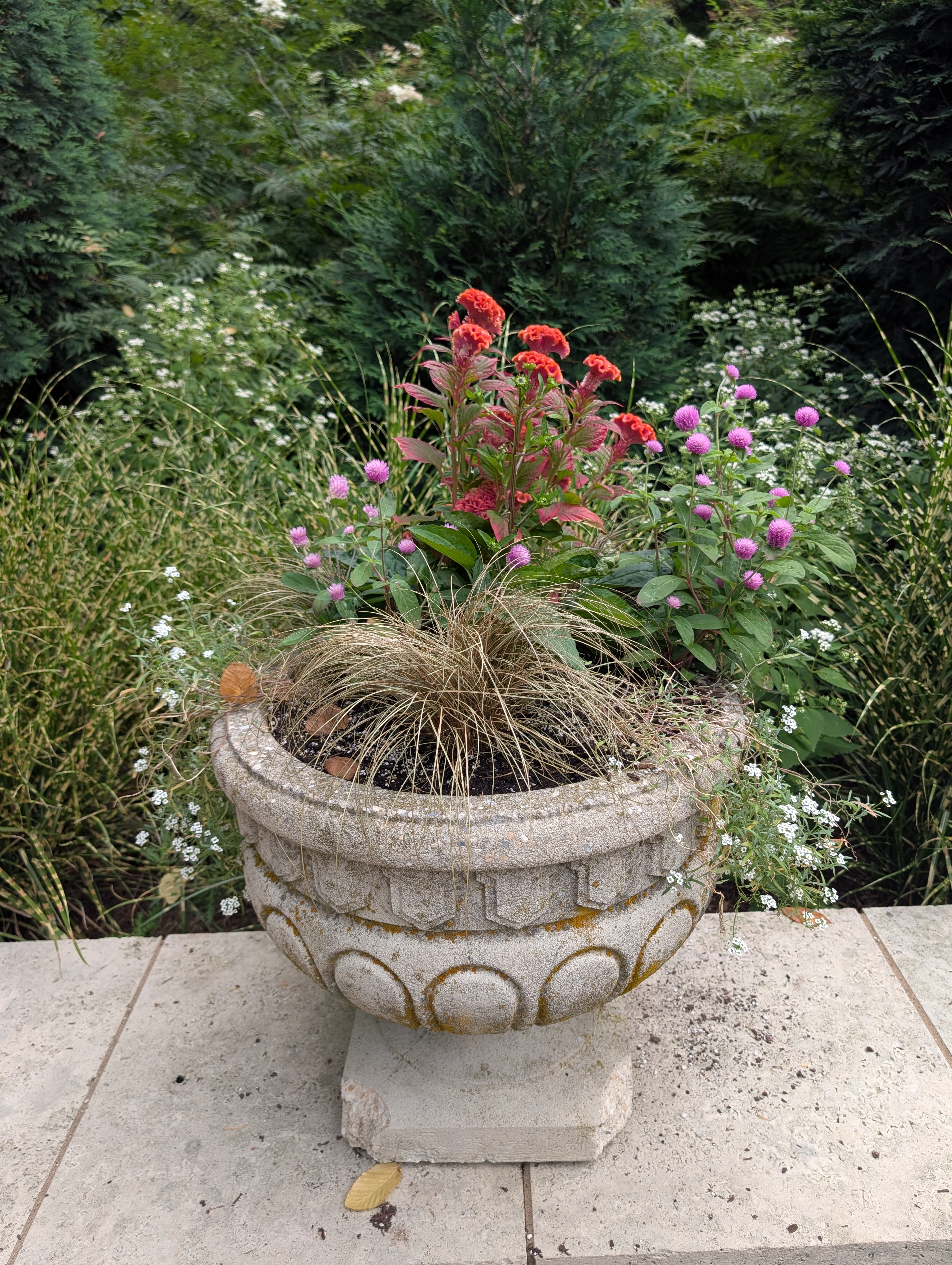 concrete urn with fall plants