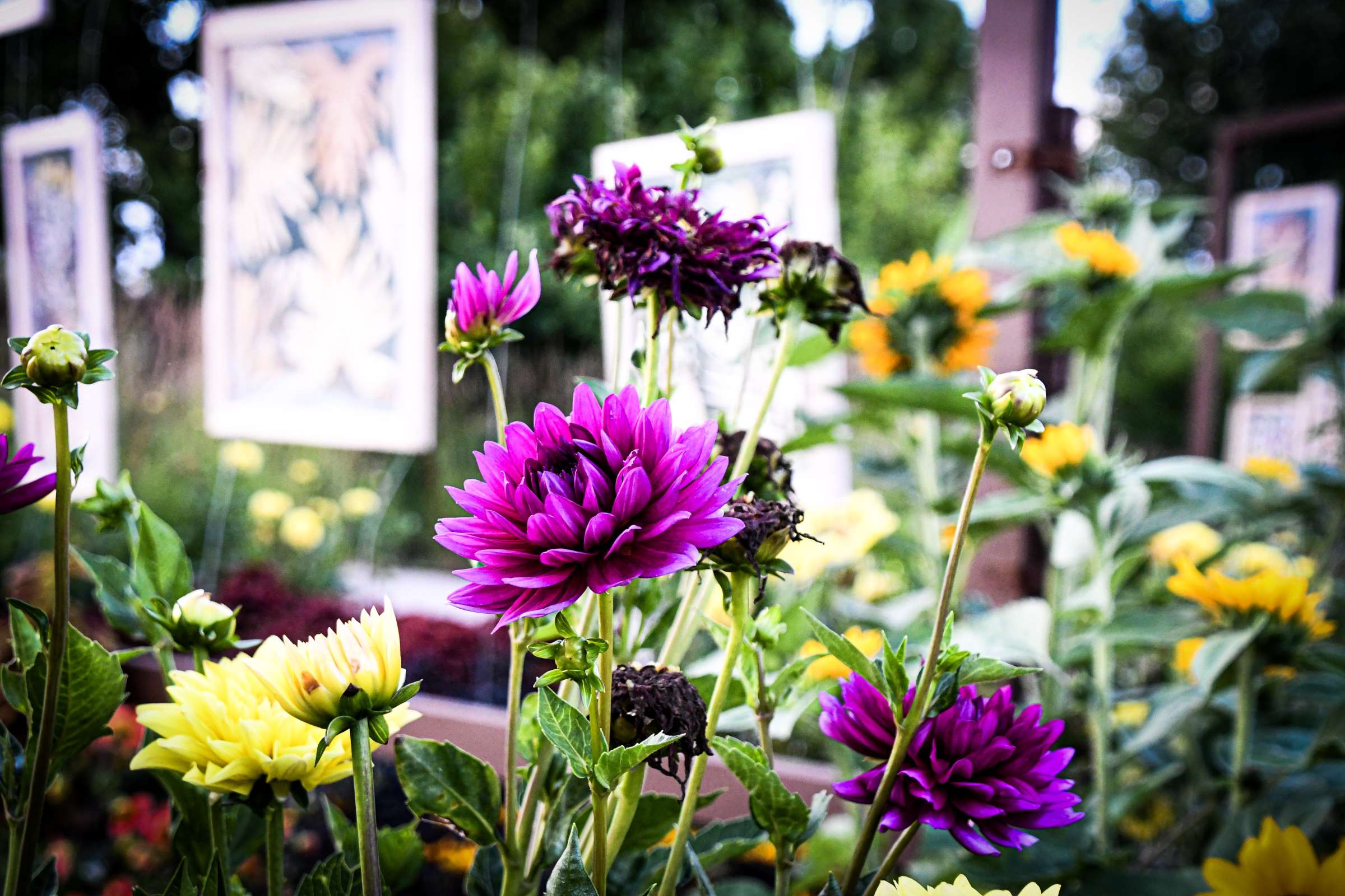 Reiman Gardens Campanile Garden