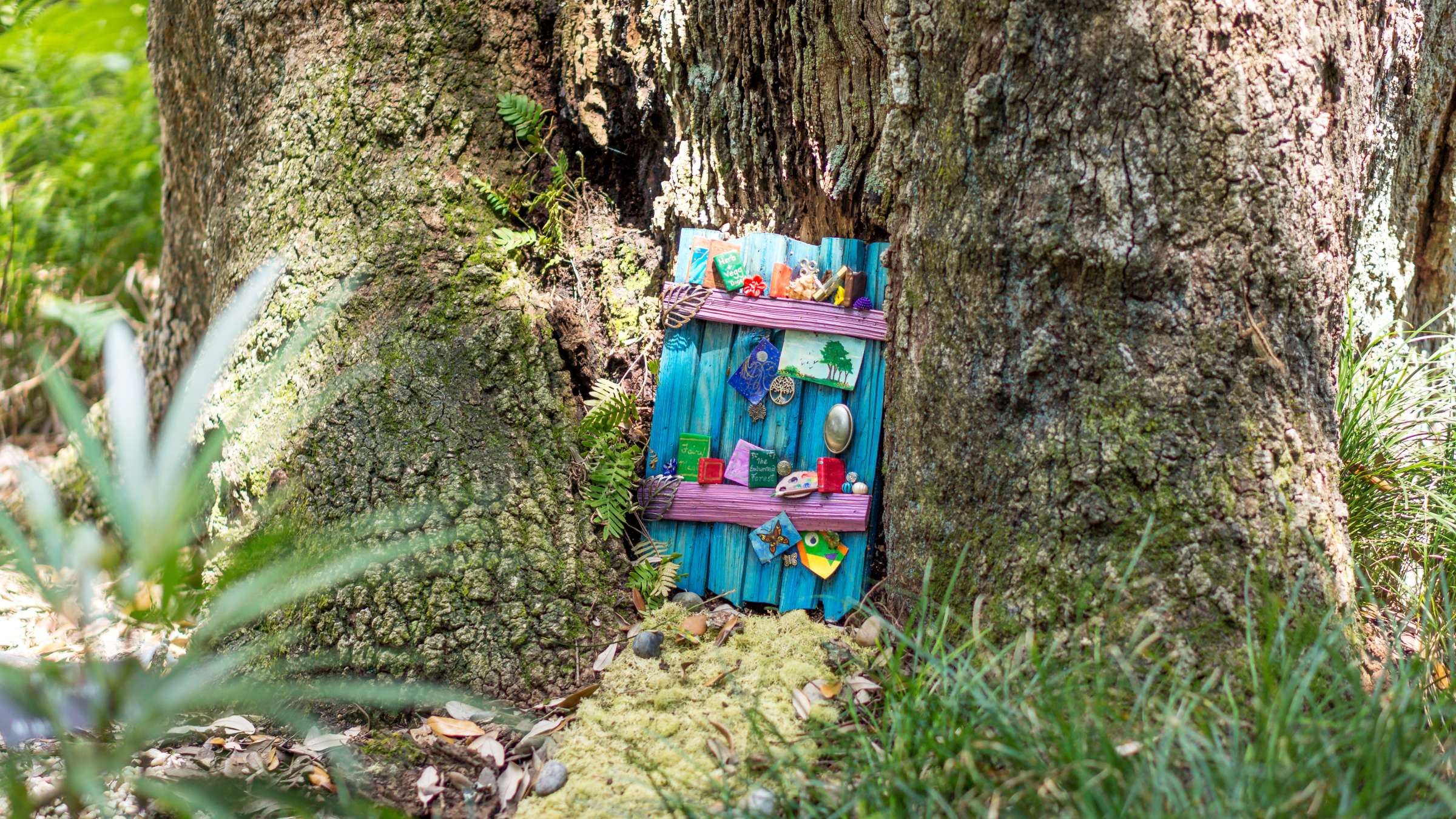 Fairy Doors