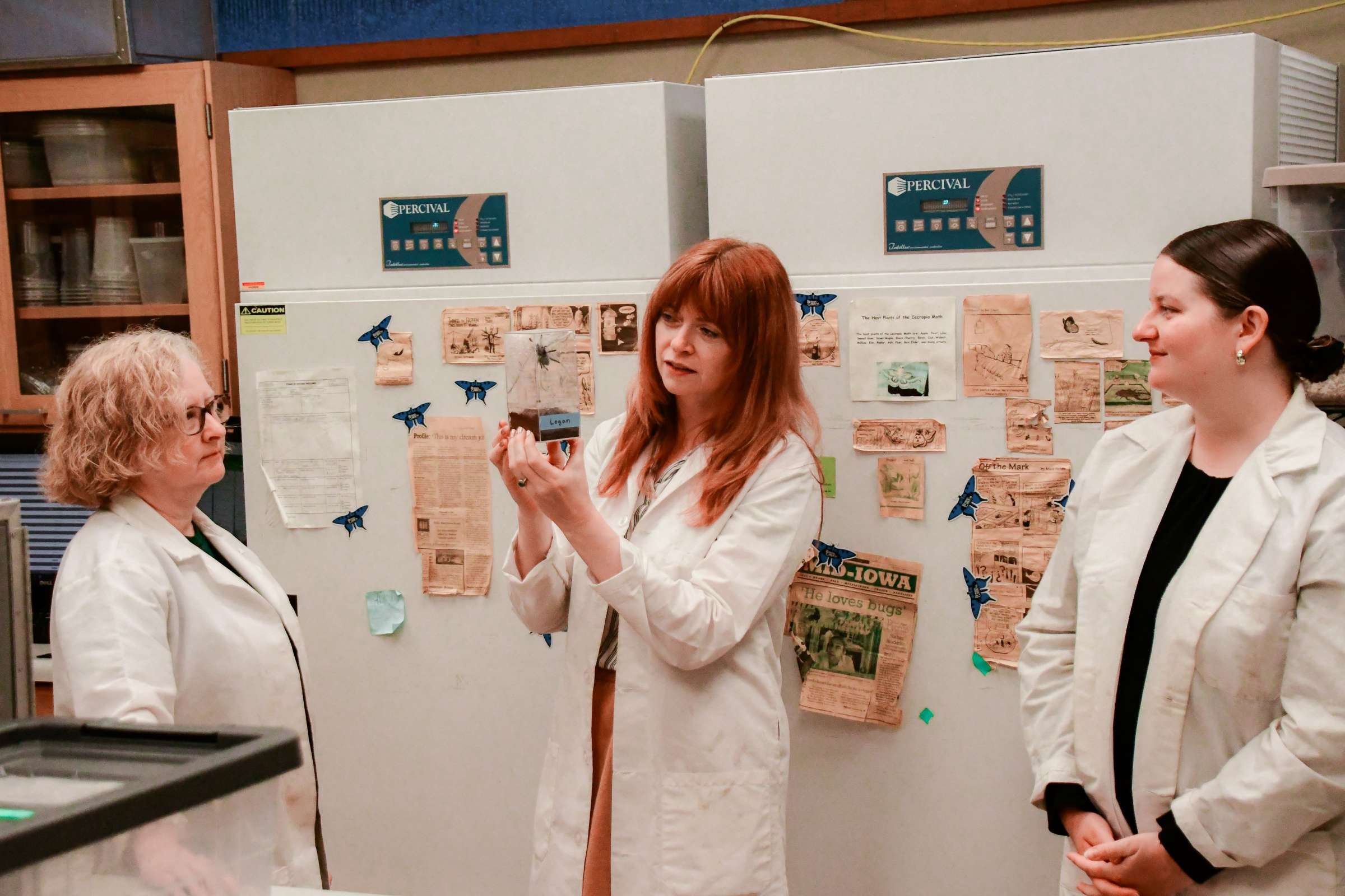 Reiman Gardens interns in the entomology lab