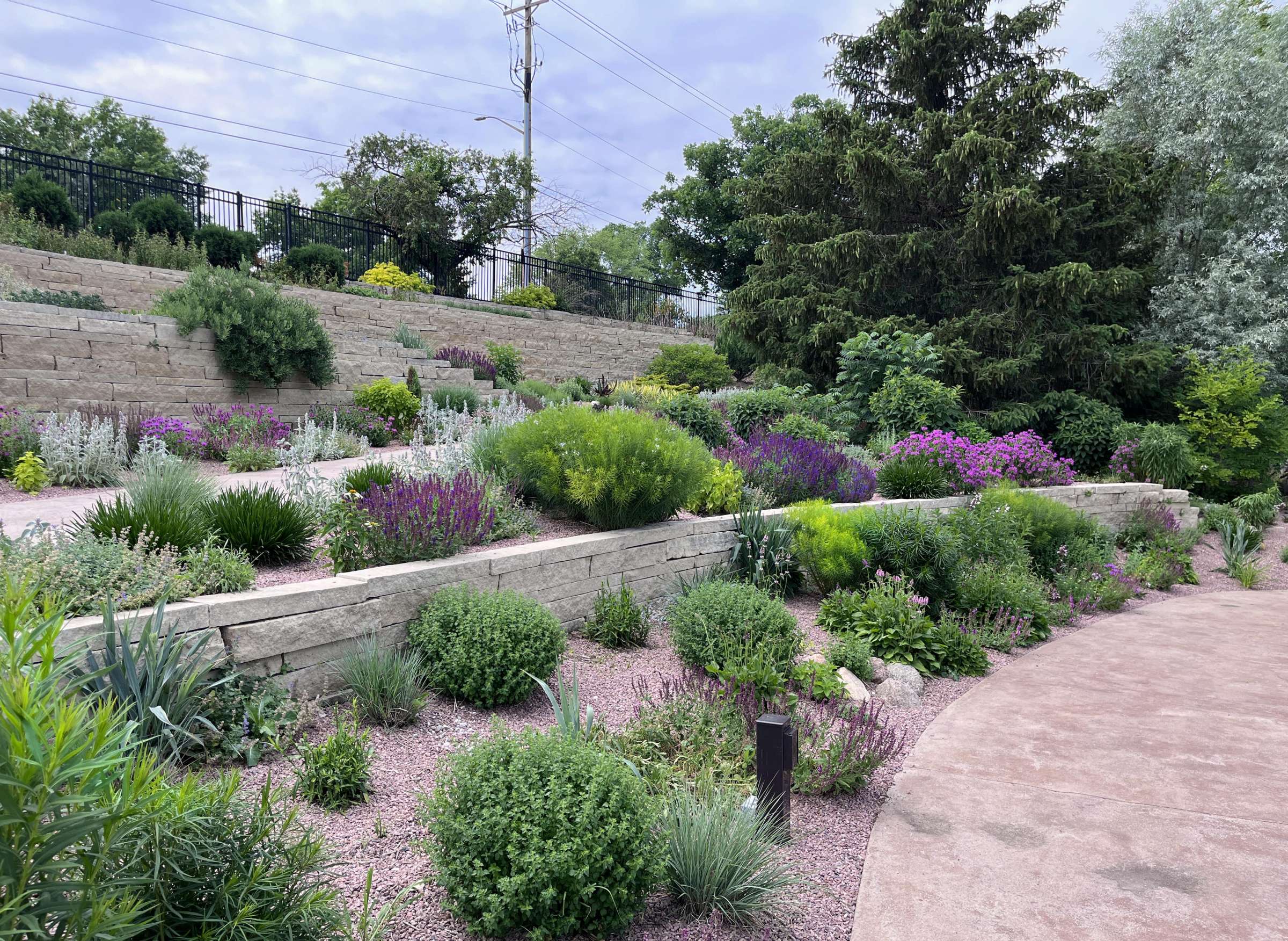 a view of the hillside garden