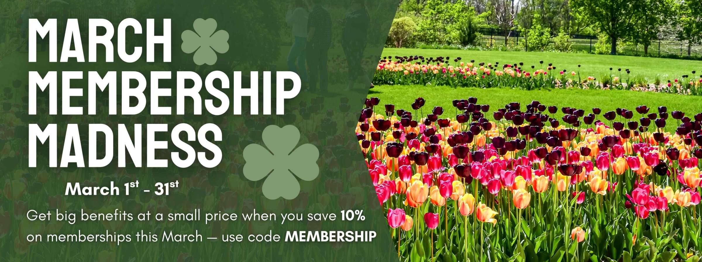 March Membership Madness Save Ten Percent on Memberships