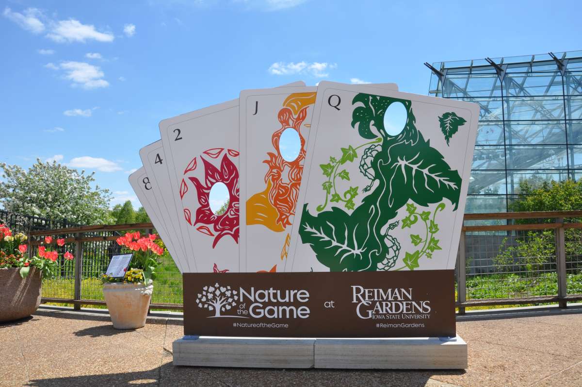 playing card photo opp in front of the Christina Reiman butterfly wing