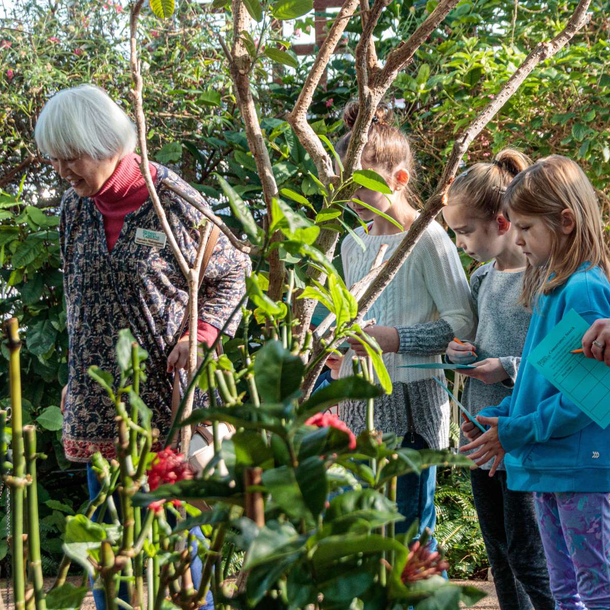 Children learning in indoor garden