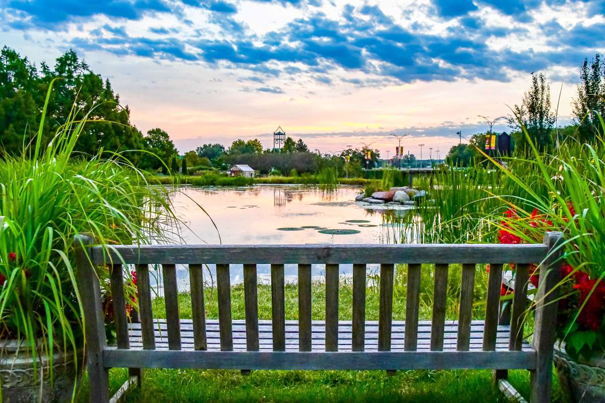 Bench overlooking Lake Helen at Reiman Gardens