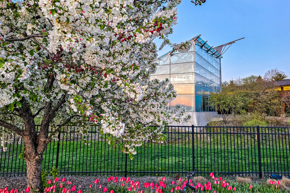 Reiman Gardens Butterfly Wing Exterior Spring 2024