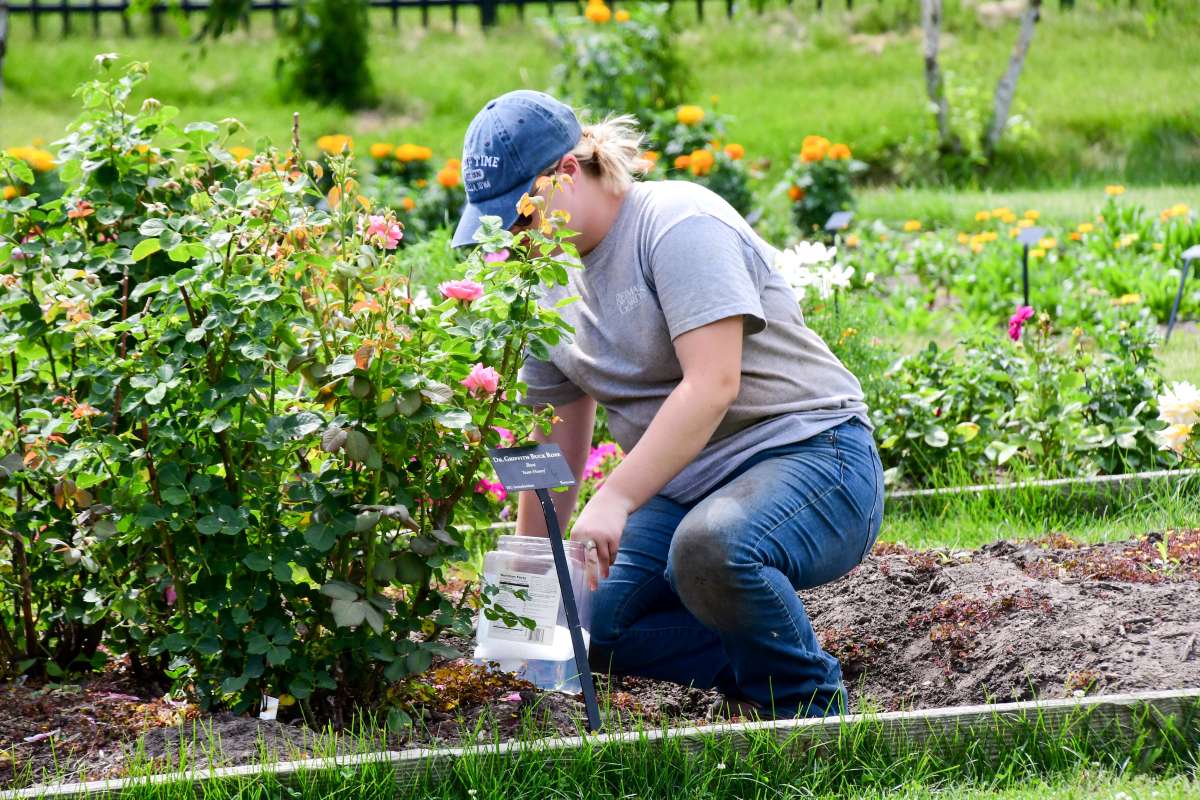 Student working at Reiman Gardens