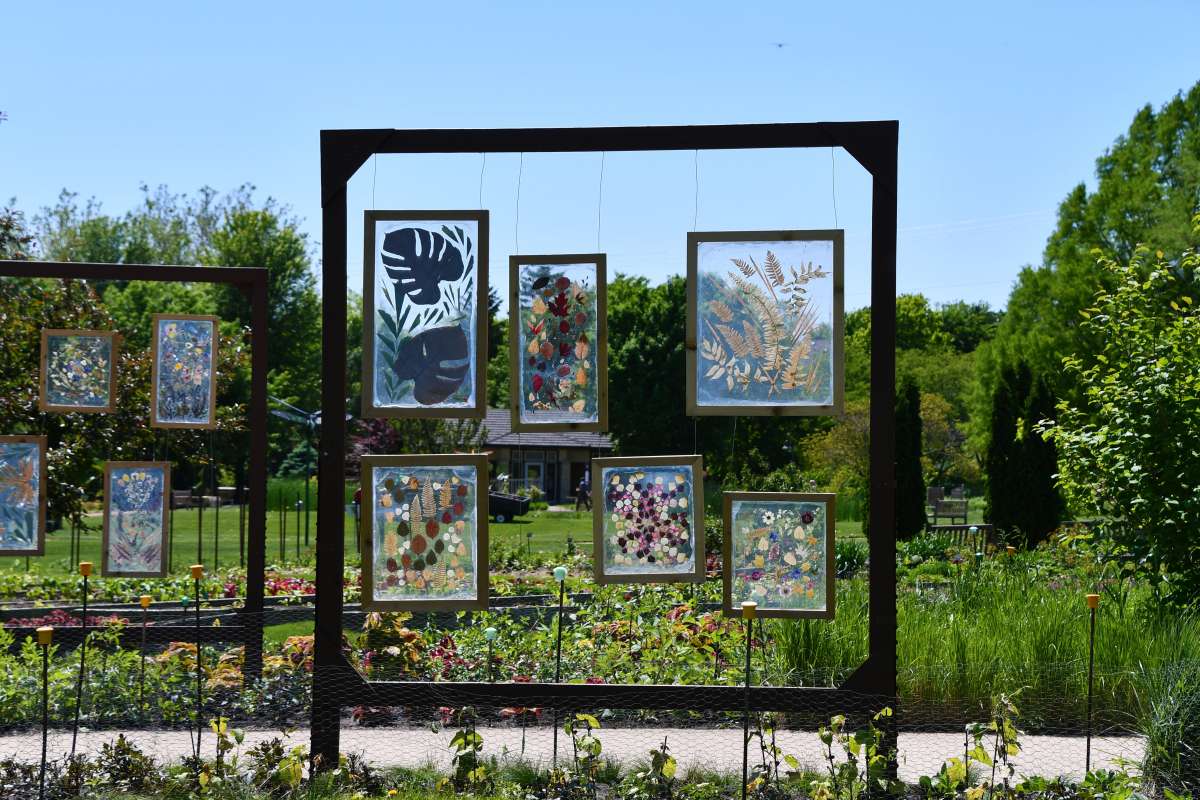 large dark frames installed in a garden space featuring suspended smaller frames with pressed flower artwork