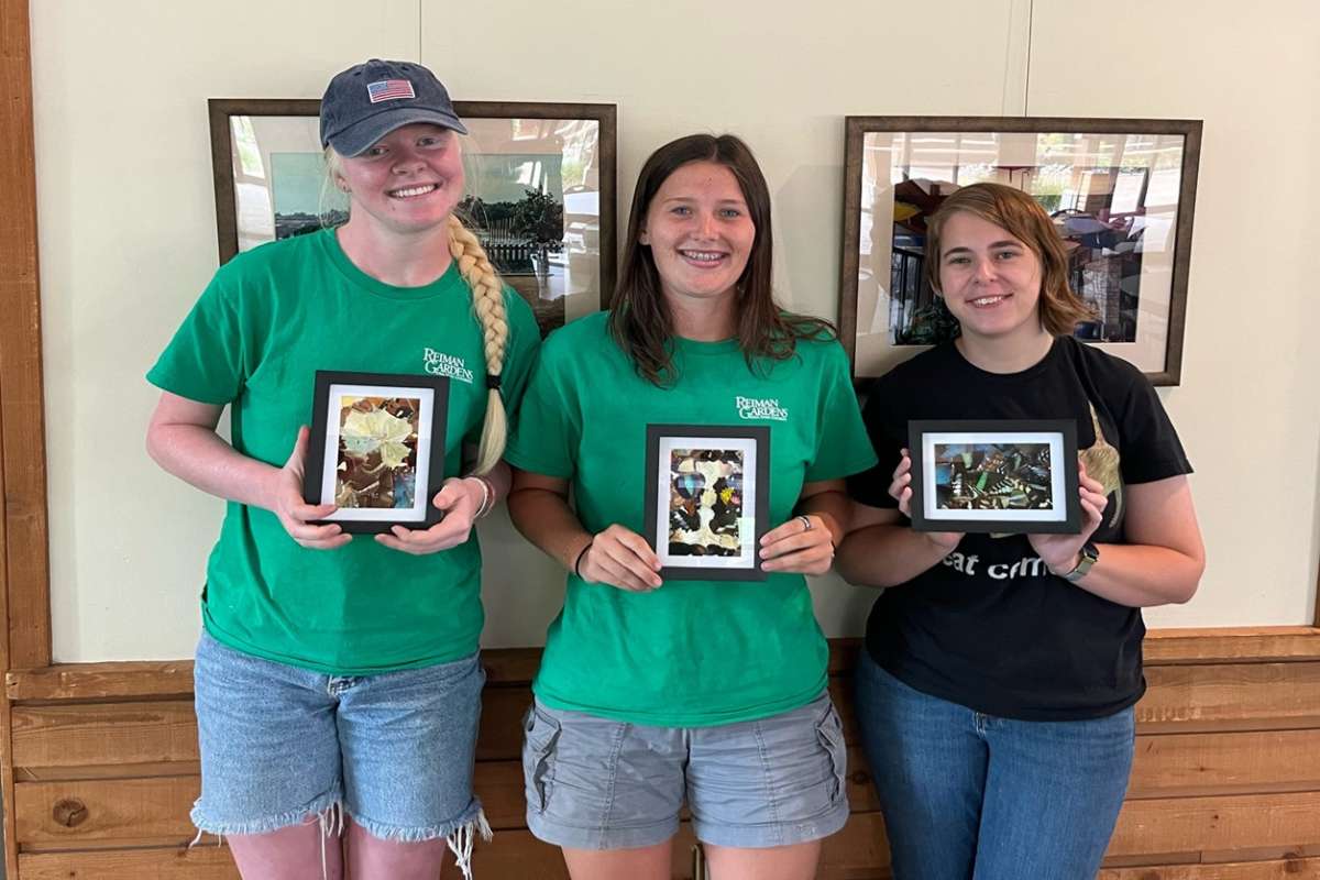 Three people holding up collages of butterfly wings smiling.