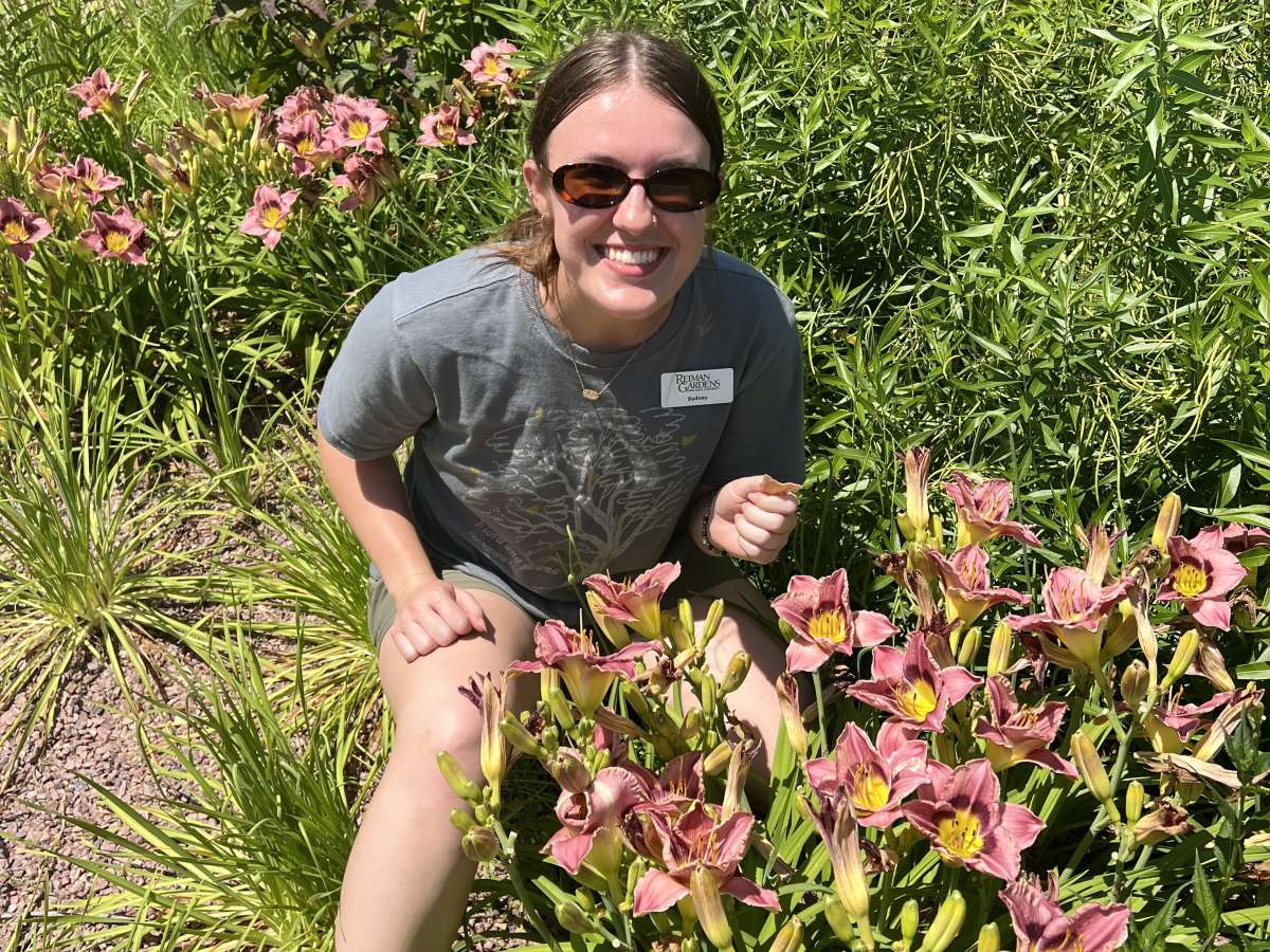 sydney eating a daylily