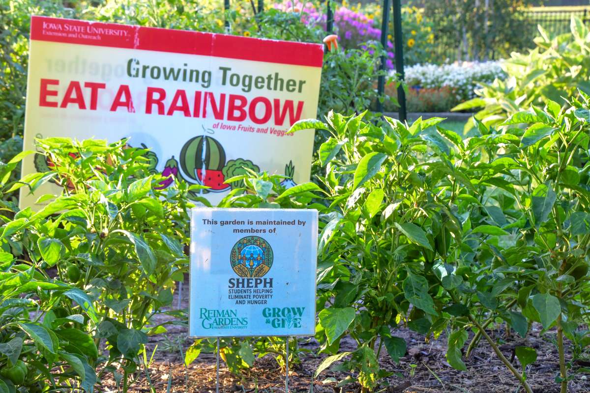 Article: Growing Food, Growing Community: The 2025 Grow & Give Program at Reiman Gardens