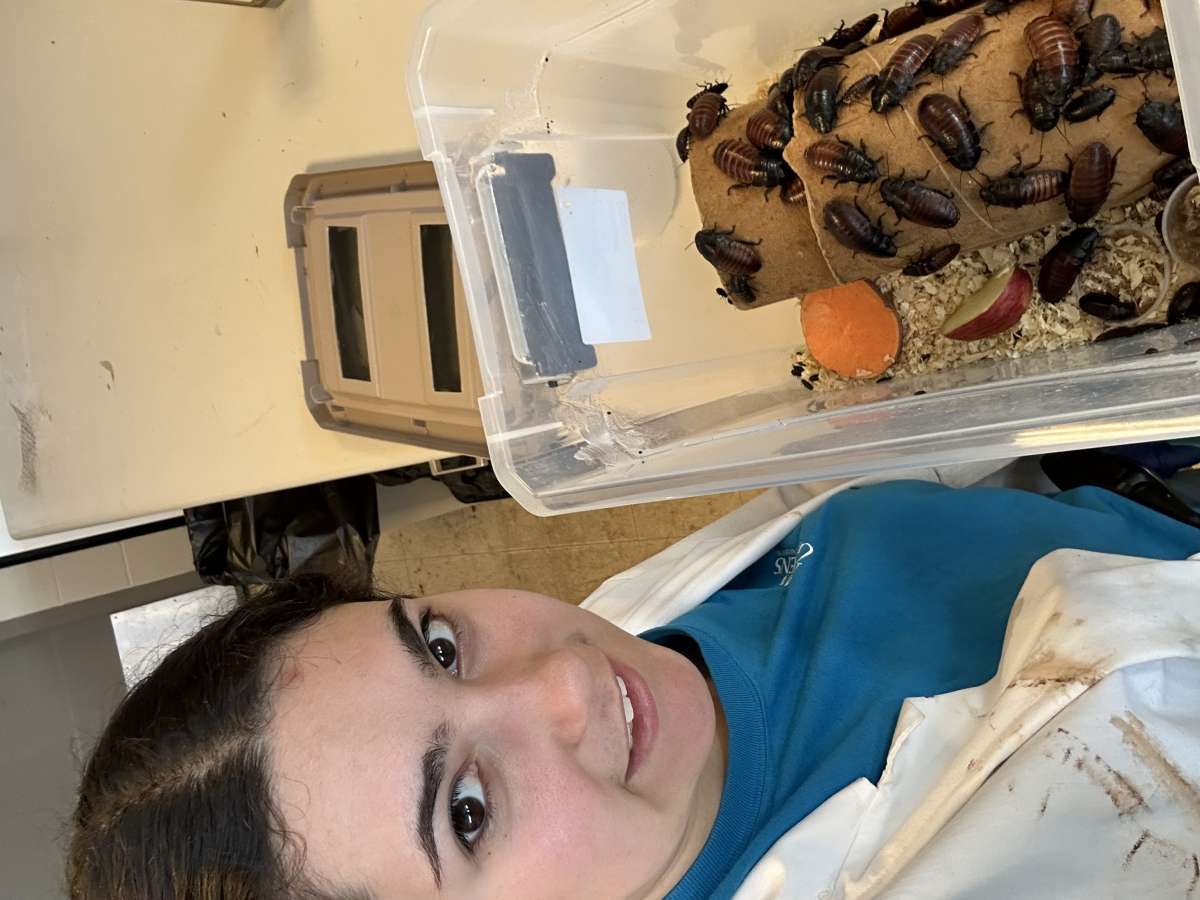 Georgia before feeding the cockroaches