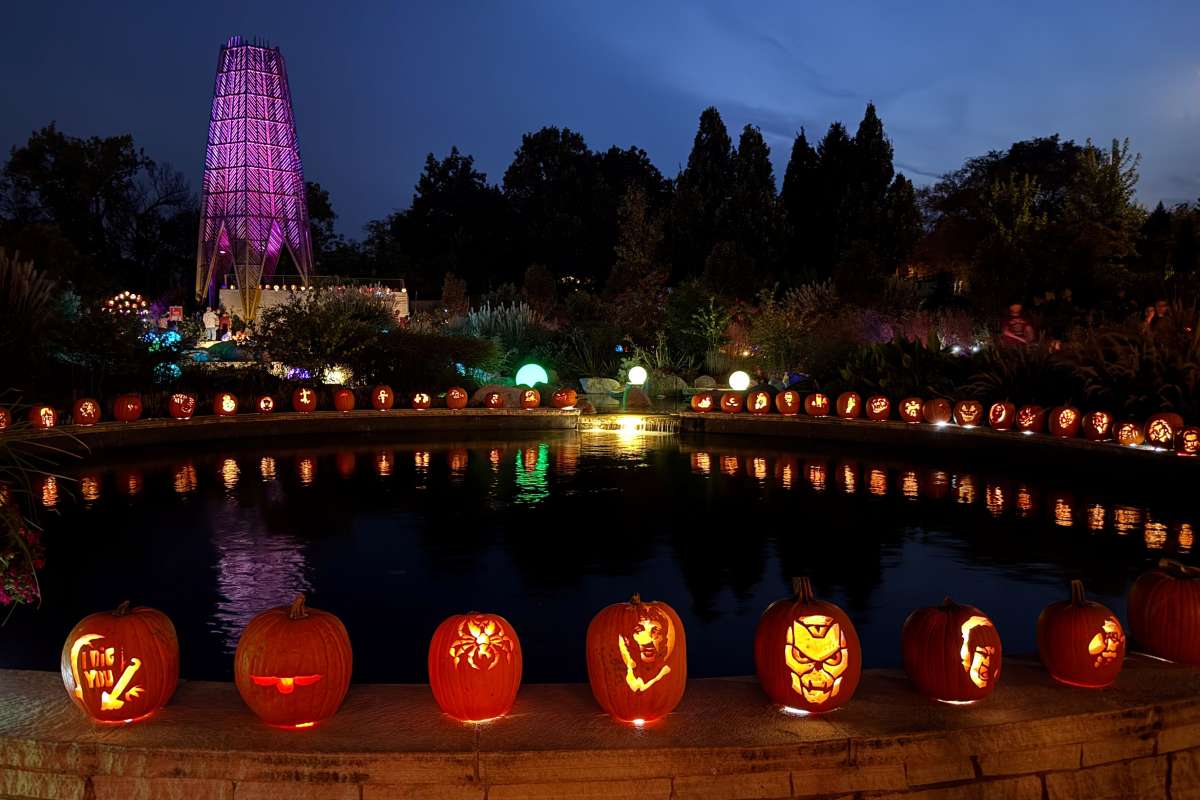 Lighted jack-o-lanterns around a pool at night